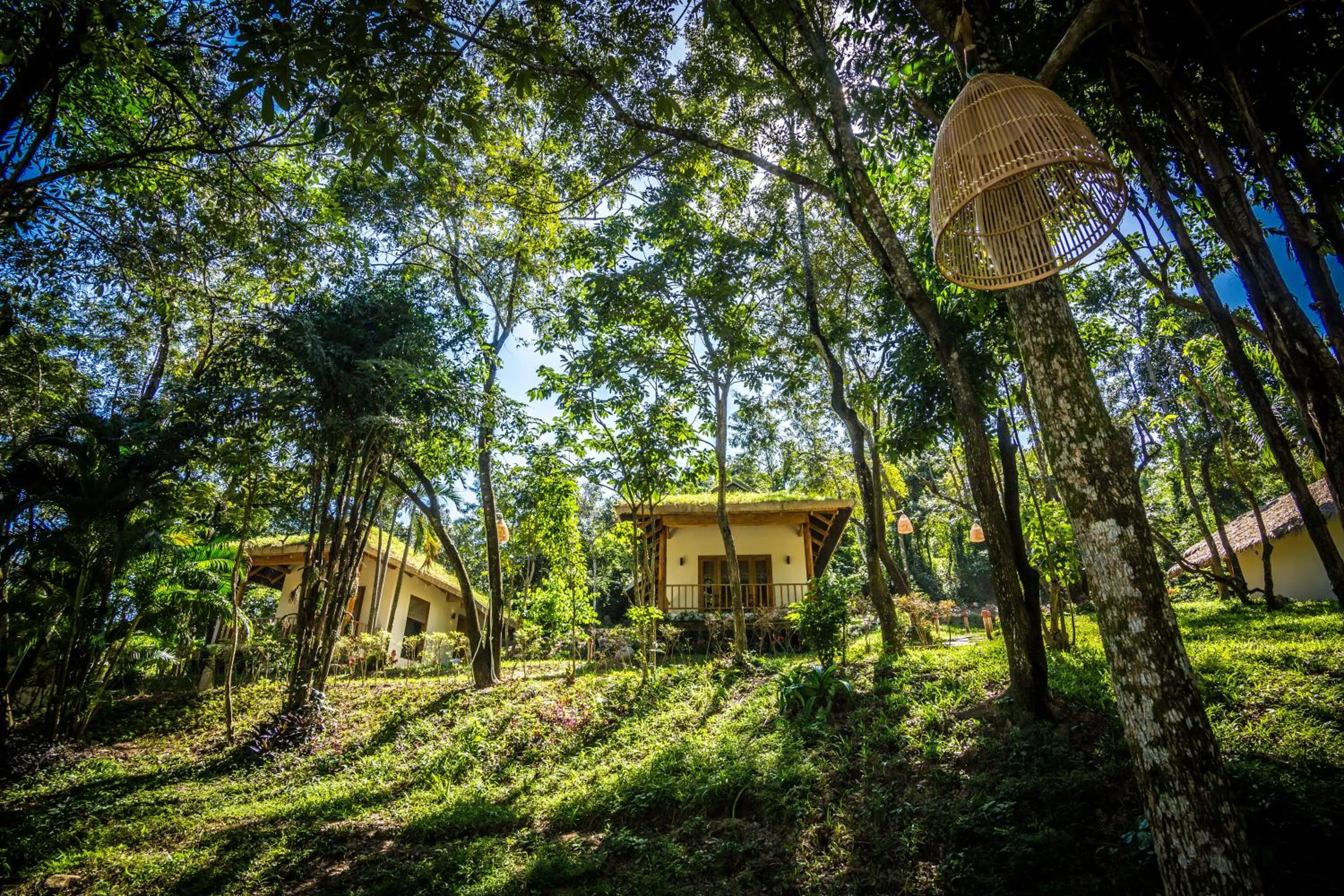 Off site in BaHo Eco Beat