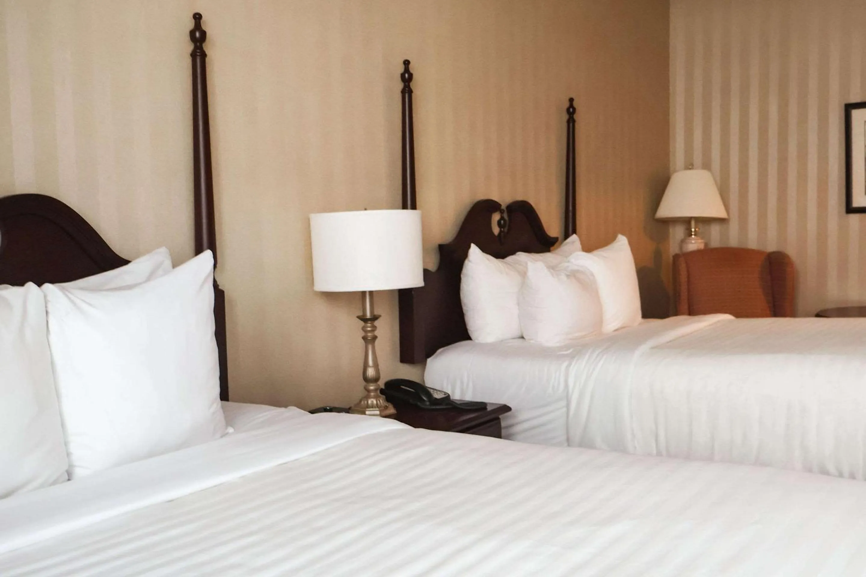 Bedroom, Bed in Quality Inn & Suites Downtown