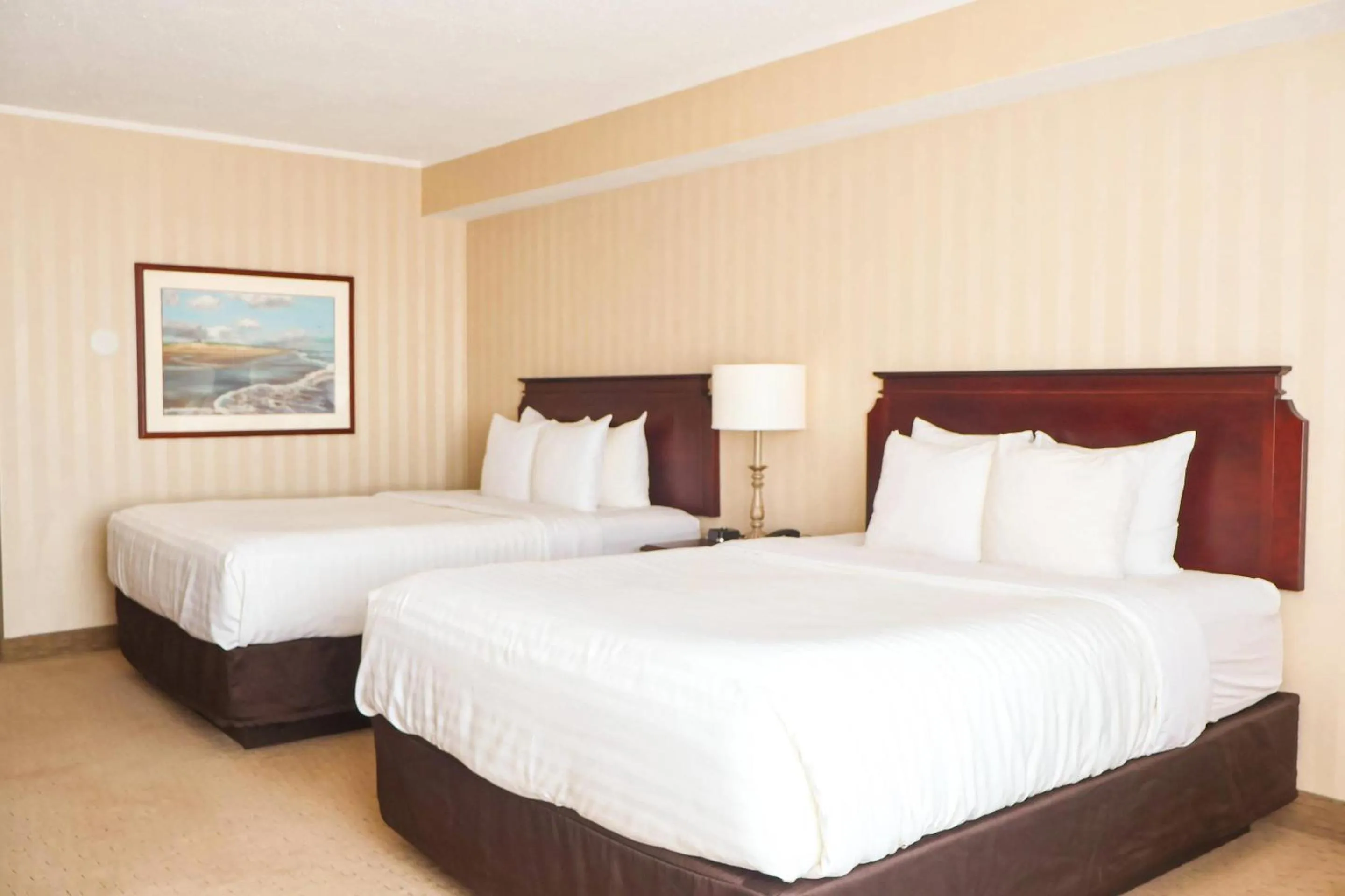 Bedroom, Bed in Quality Inn & Suites Downtown