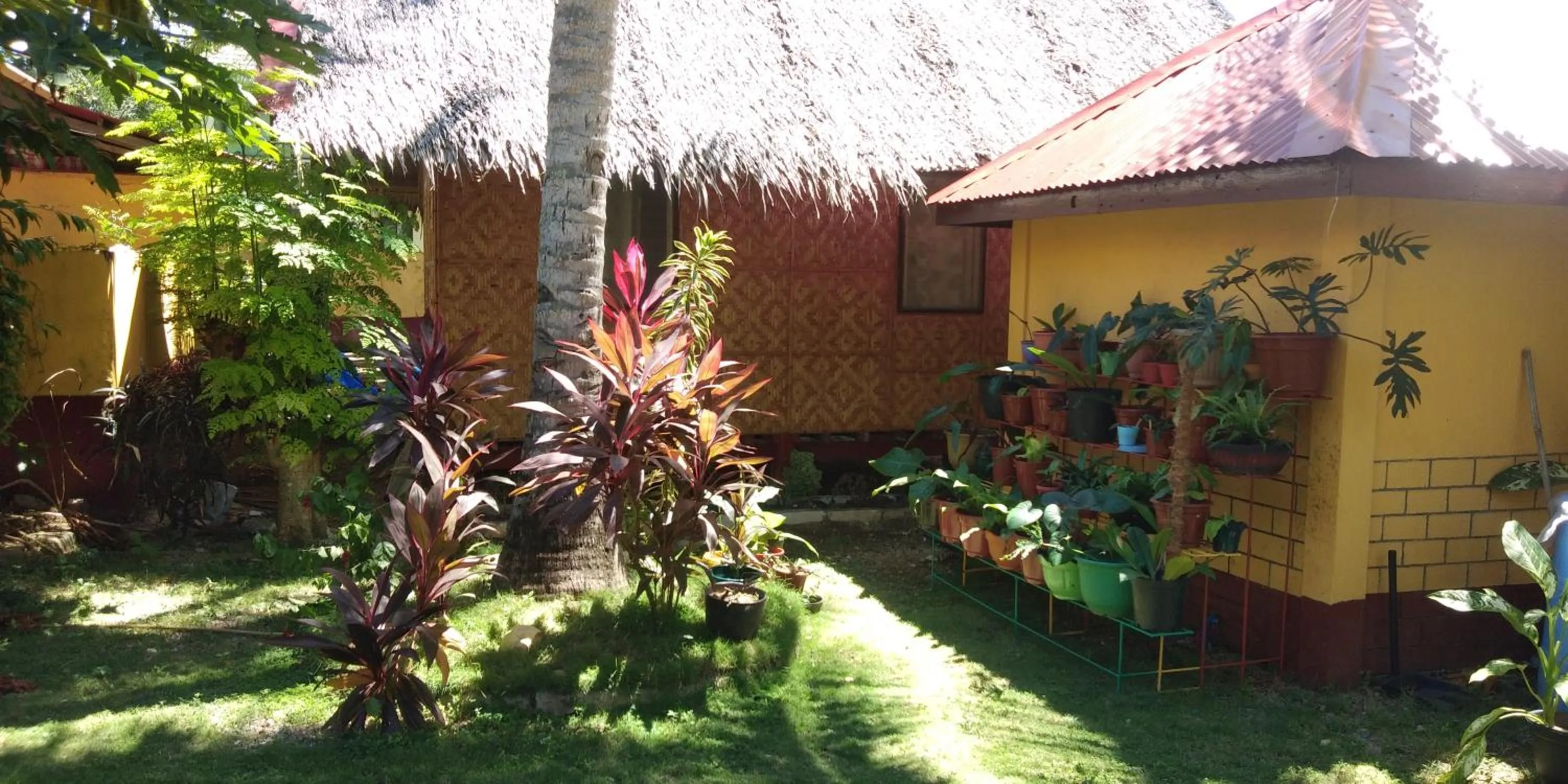 Garden view in Anda Poseidon’s Beach Resort