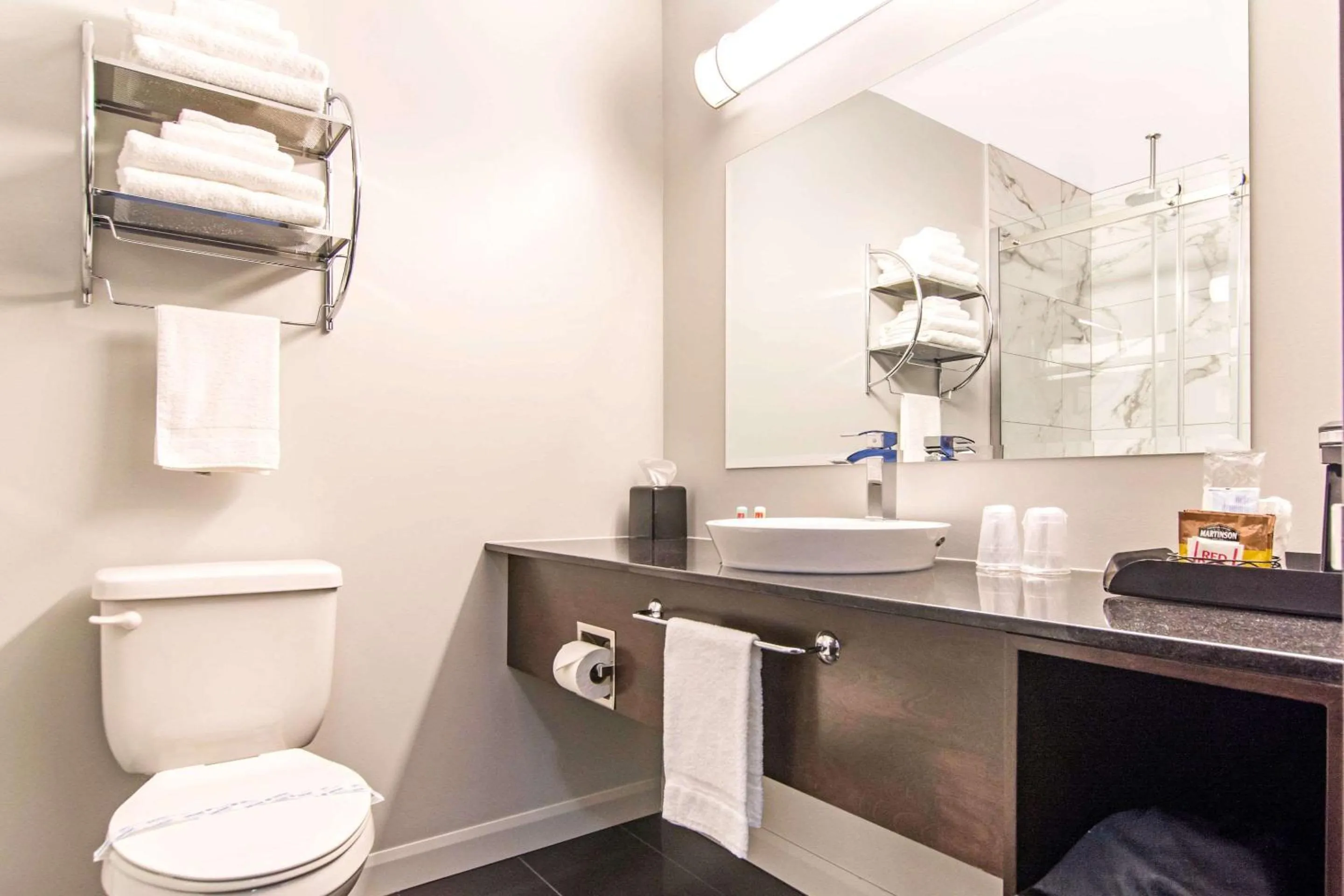 Bathroom in Econo Lodge Inn & Suites