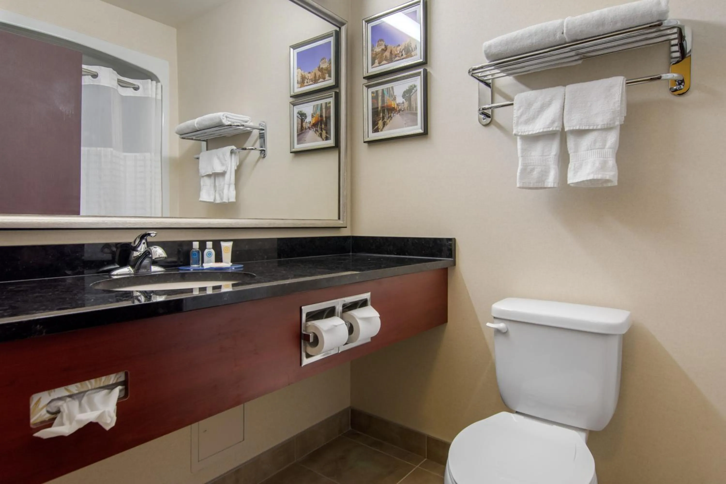 Bathroom in Comfort Inn & Suites