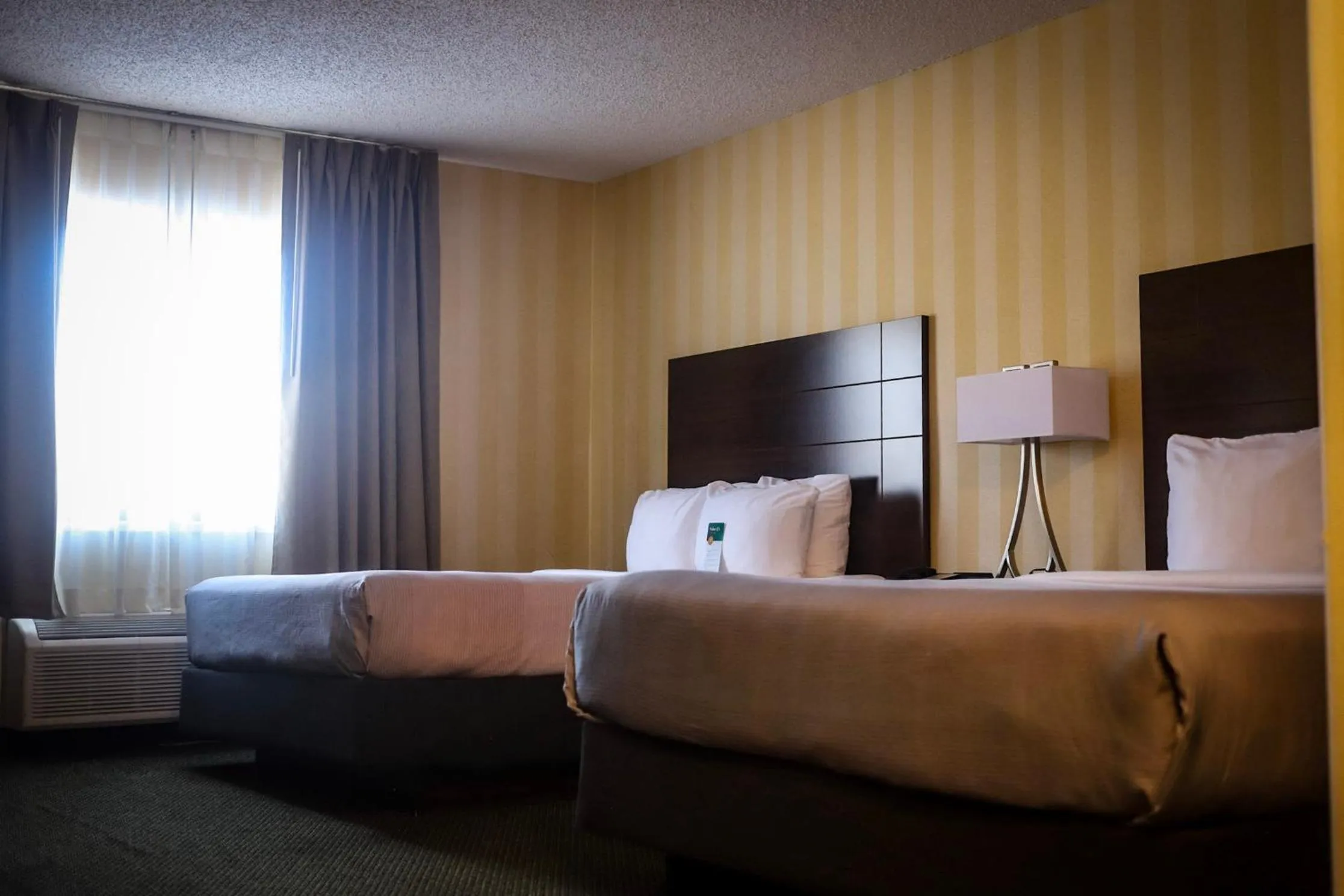 hair dresser, Bed in Quality Inn Colorado Springs Airport