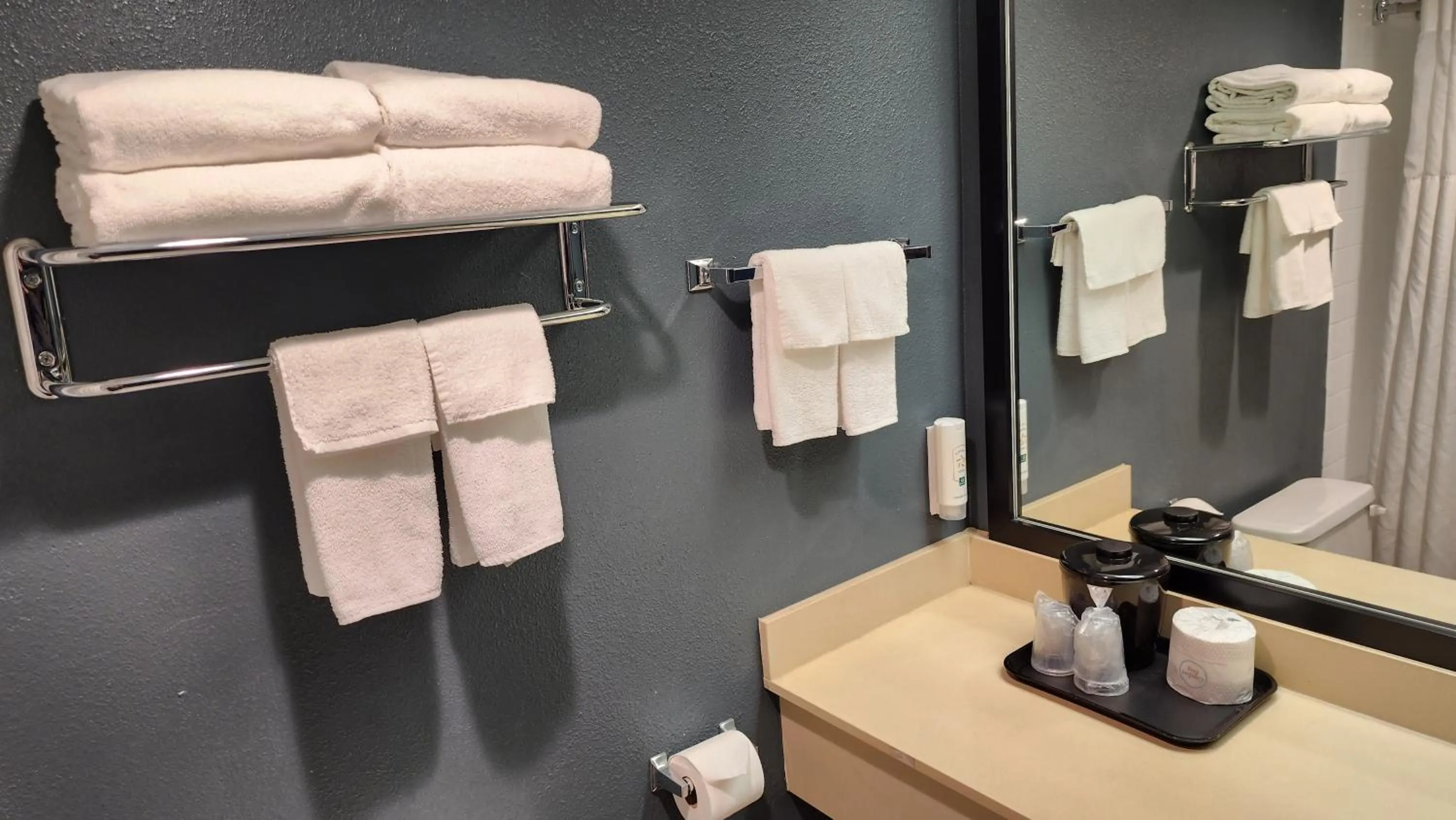 Bathroom in Quality Inn & Suites Garden Of The Gods