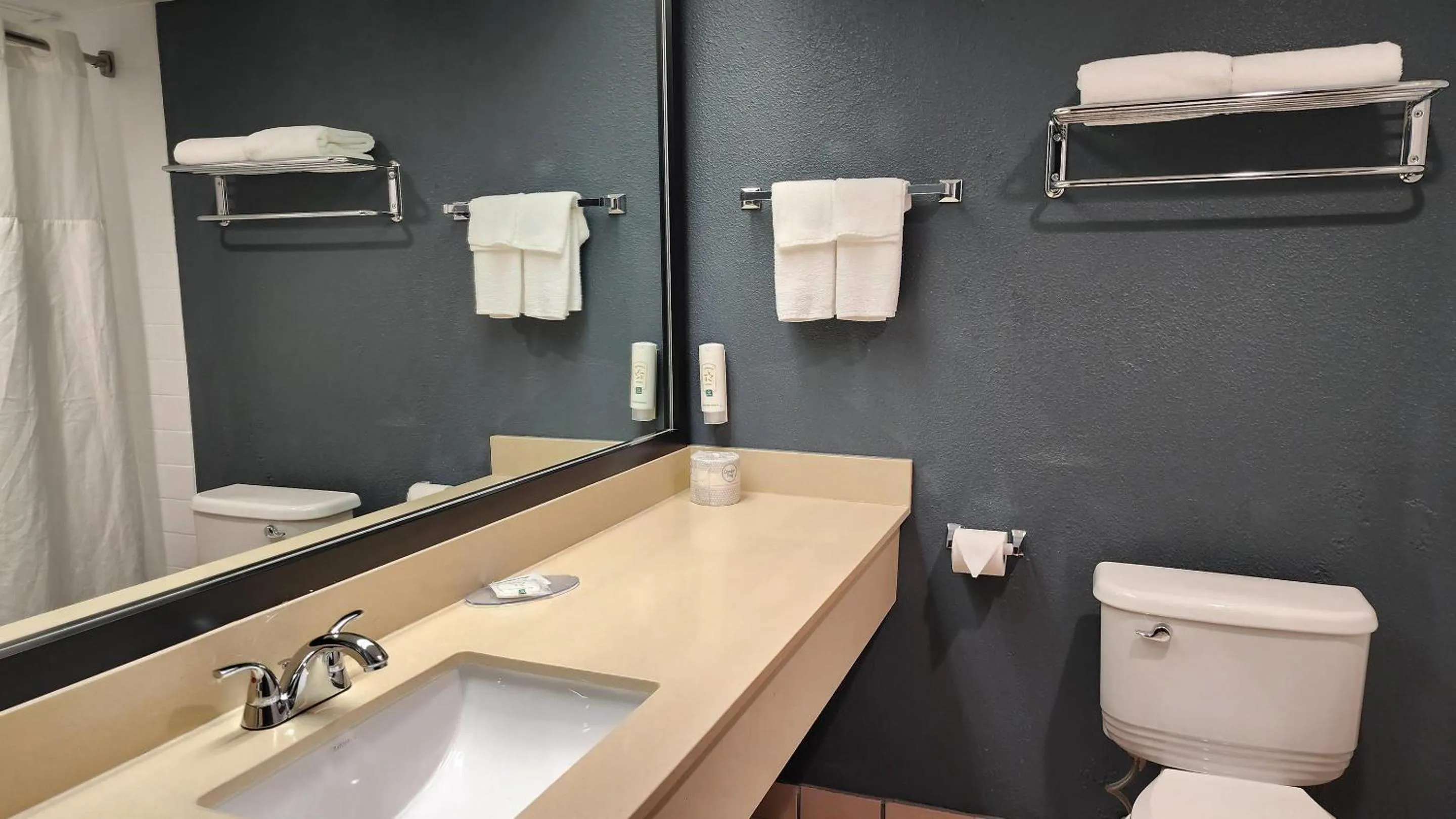 Bedroom in Quality Inn & Suites Garden Of The Gods