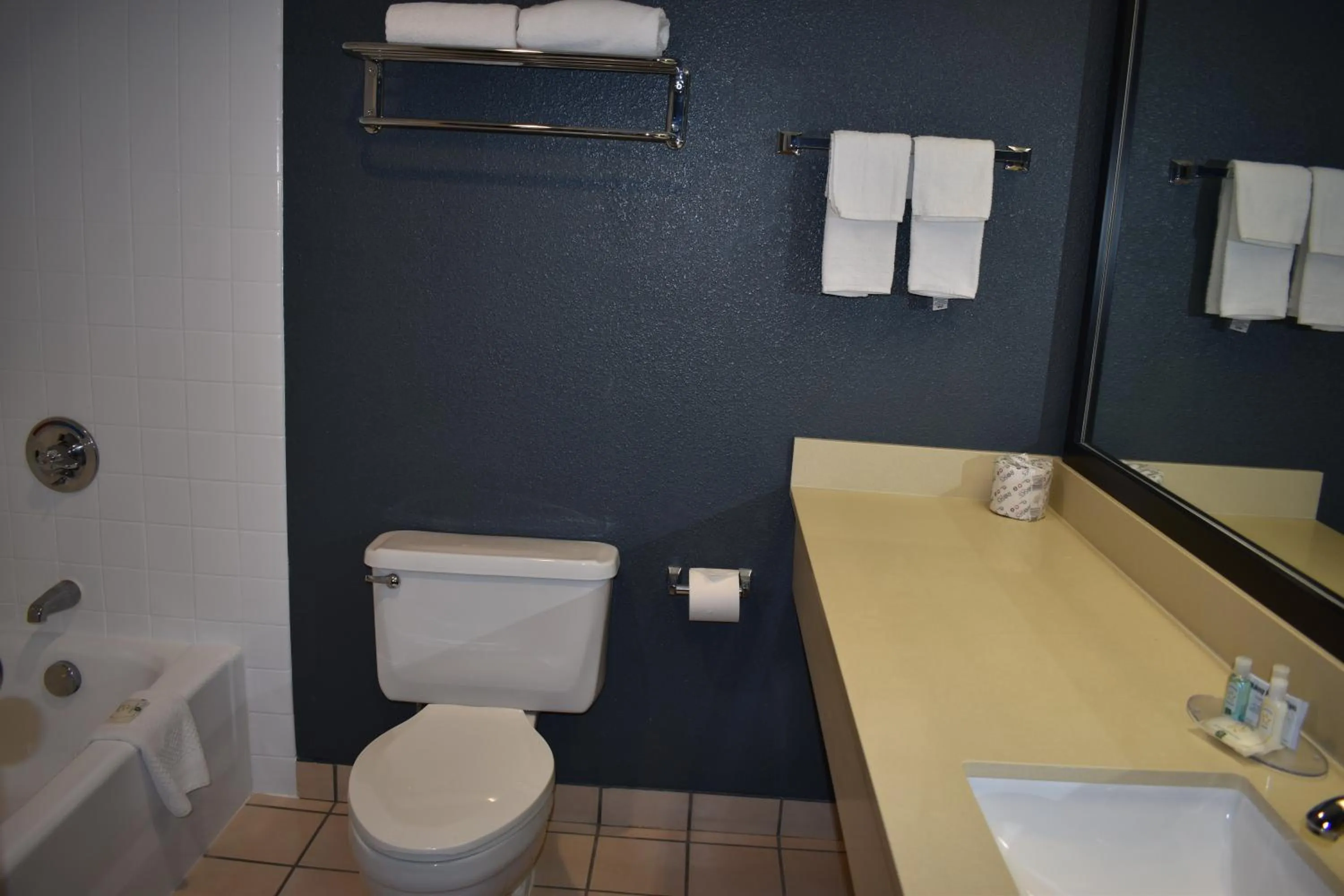 Bathroom in Quality Inn & Suites Garden Of The Gods