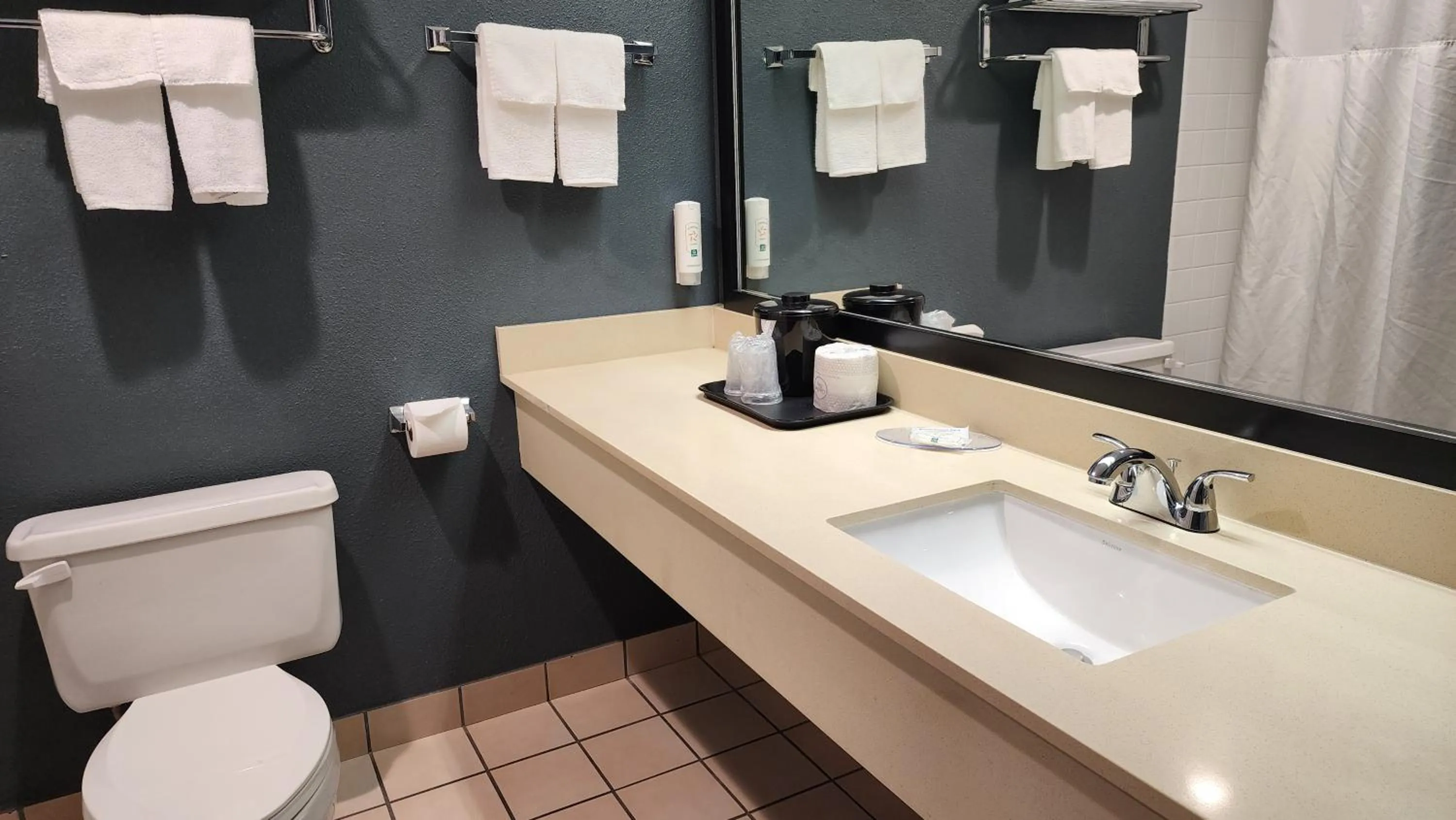 Toilet in Quality Inn & Suites Garden Of The Gods