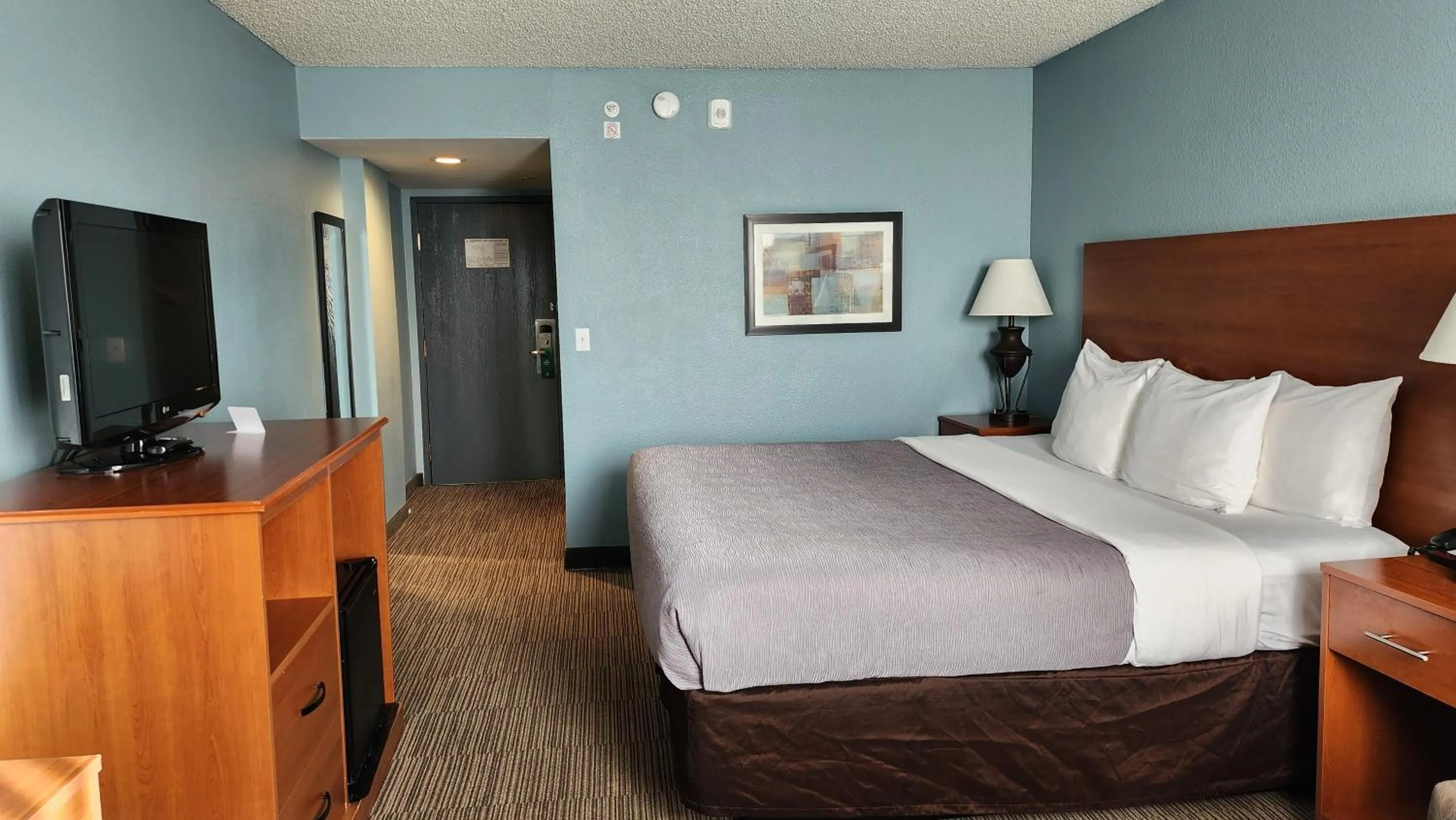 Bed in Quality Inn & Suites Garden Of The Gods