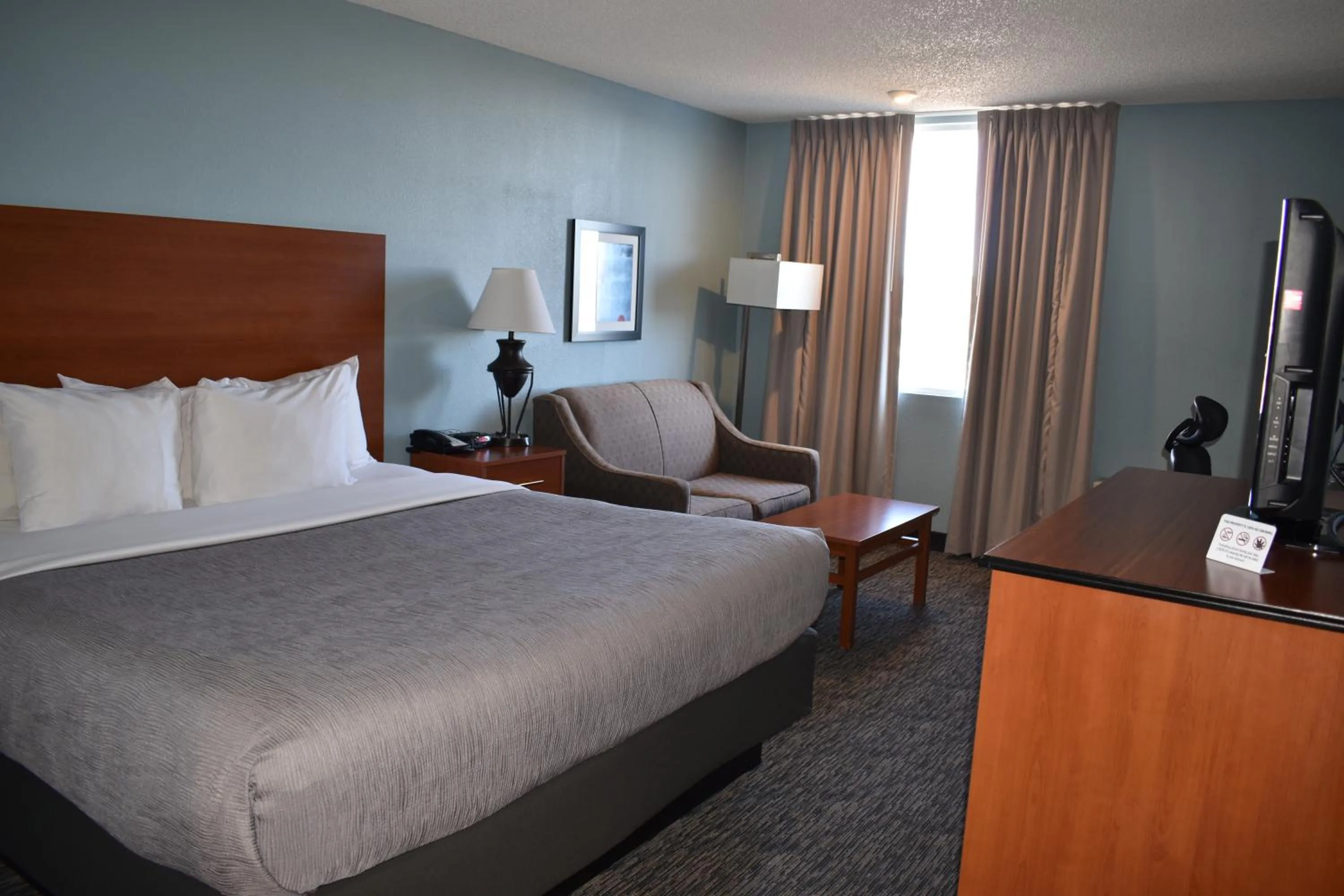 Bedroom, Bed in Quality Inn & Suites Garden Of The Gods