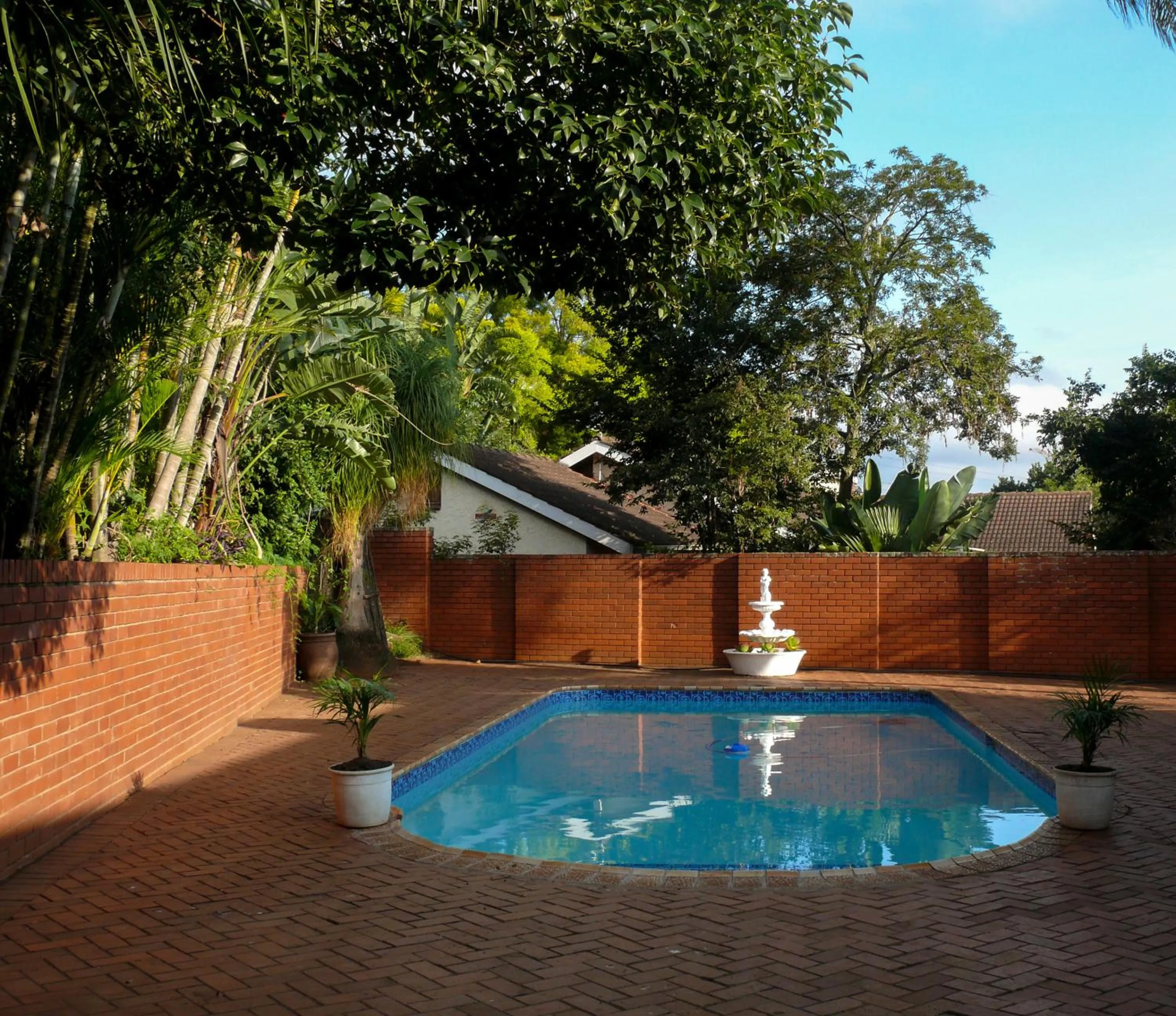 Swimming pool in Hamilton Urban Farm Guest House