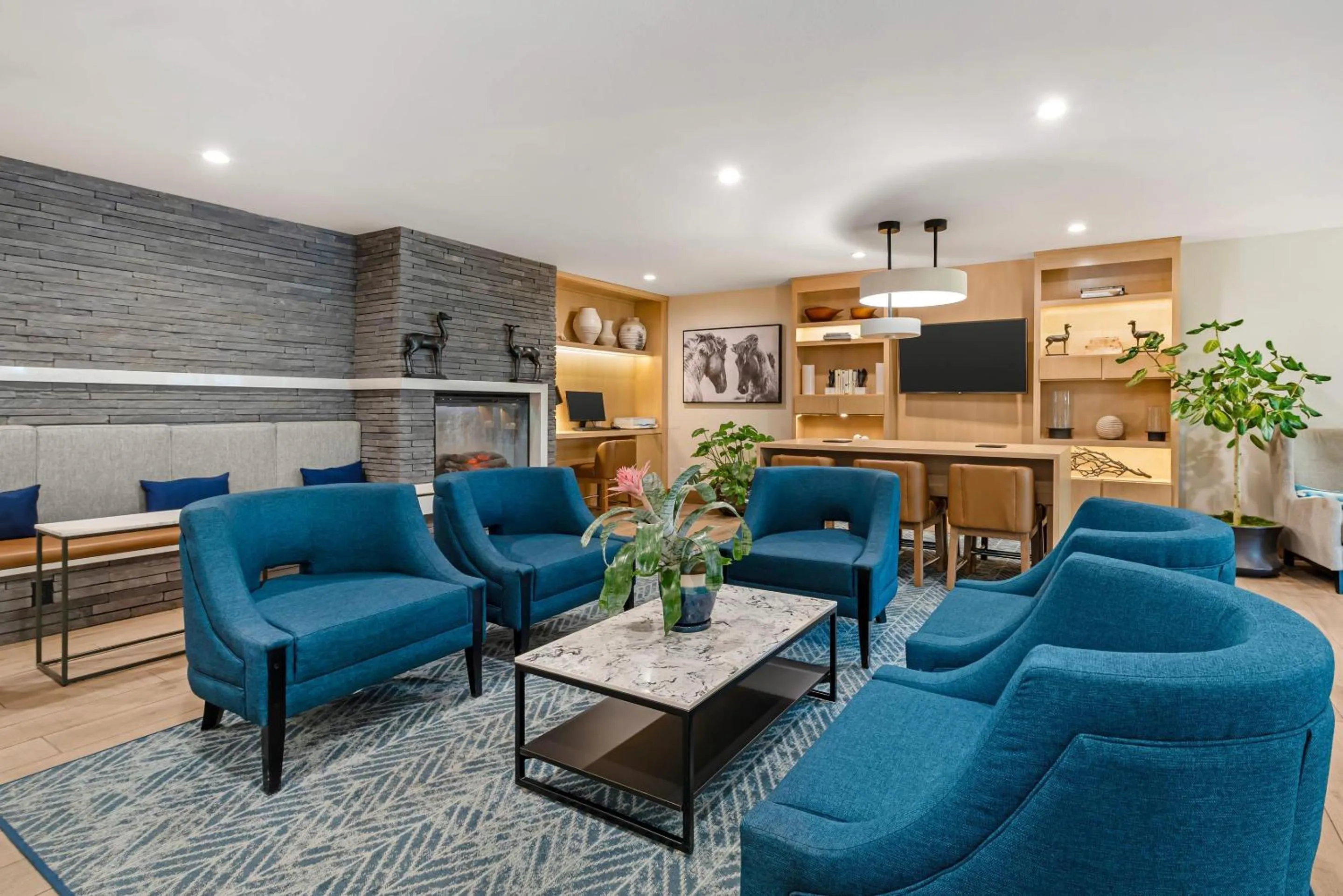 Lobby or reception in Comfort Inn & Suites Carbondale on the Roaring Fork