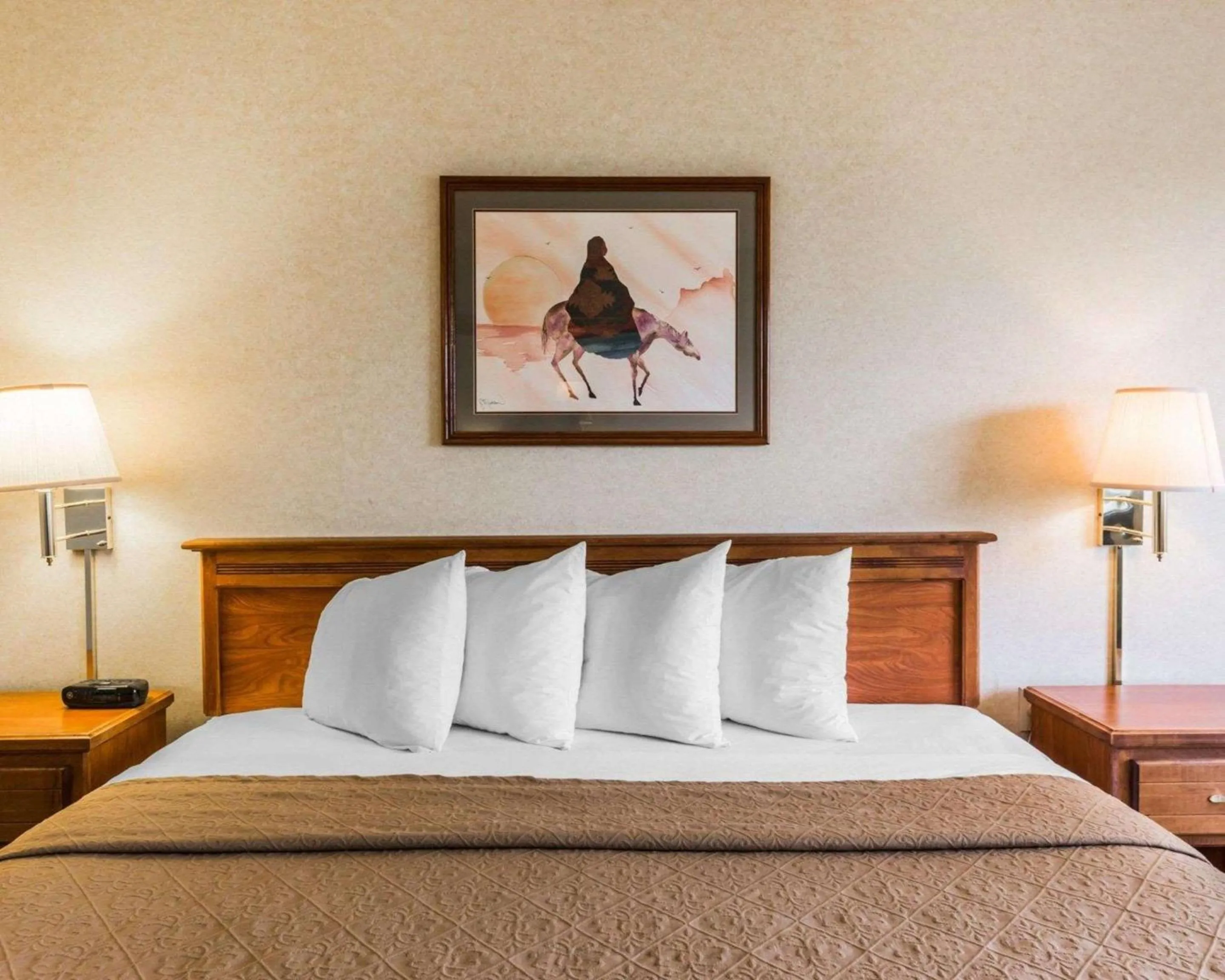 Quality Inn & Suites Montrose - Black Canyon Area