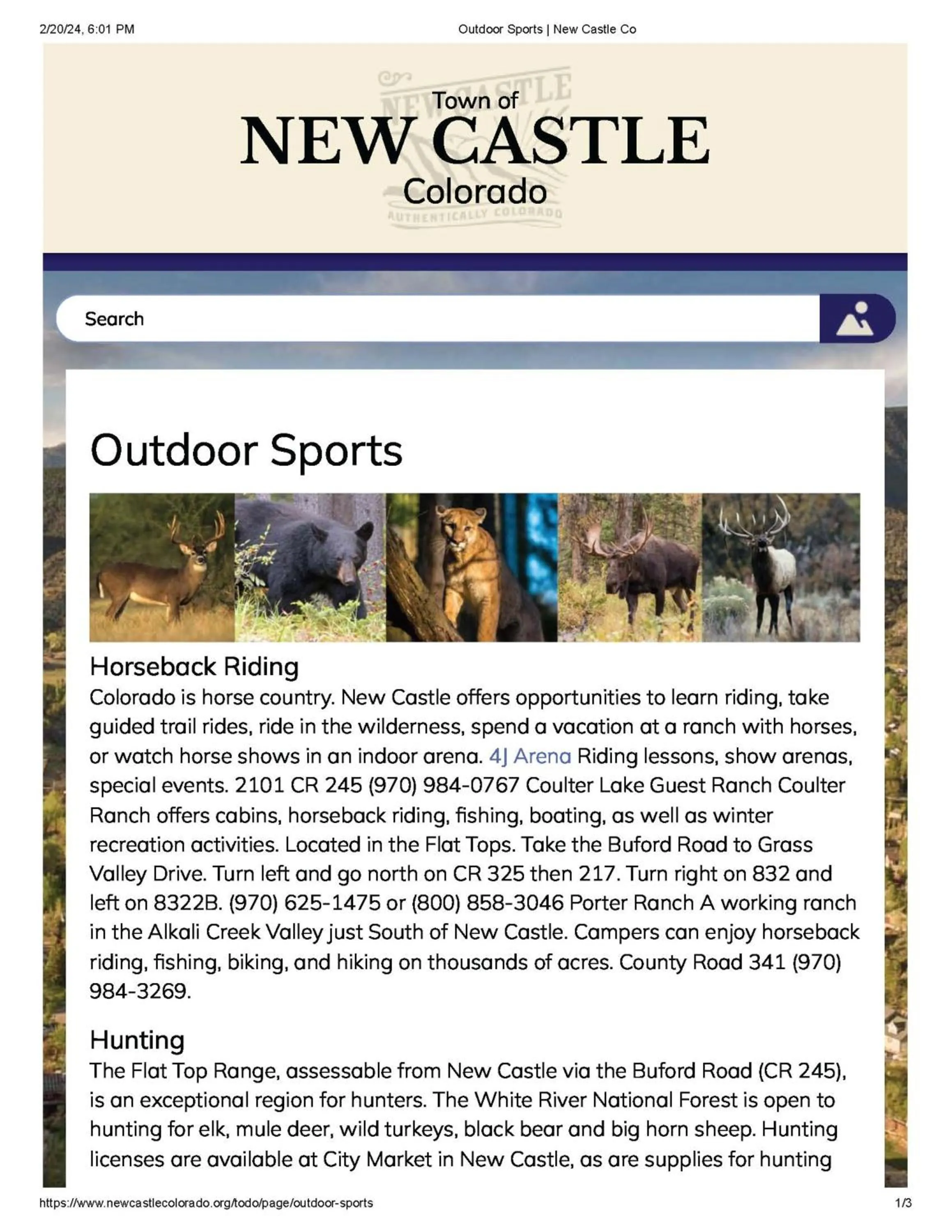 Horse-riding in Wingate by Wyndham New Castle - Glenwood Springs