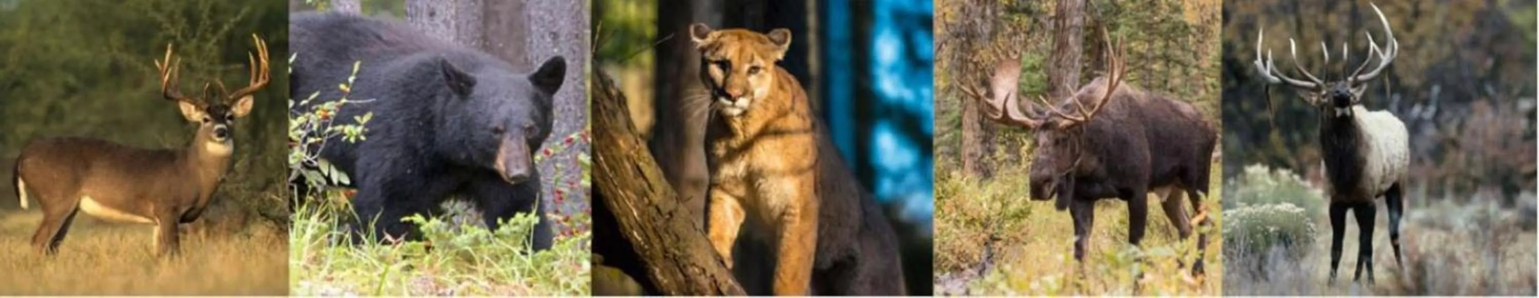 Activities in Wingate by Wyndham New Castle - Glenwood Springs