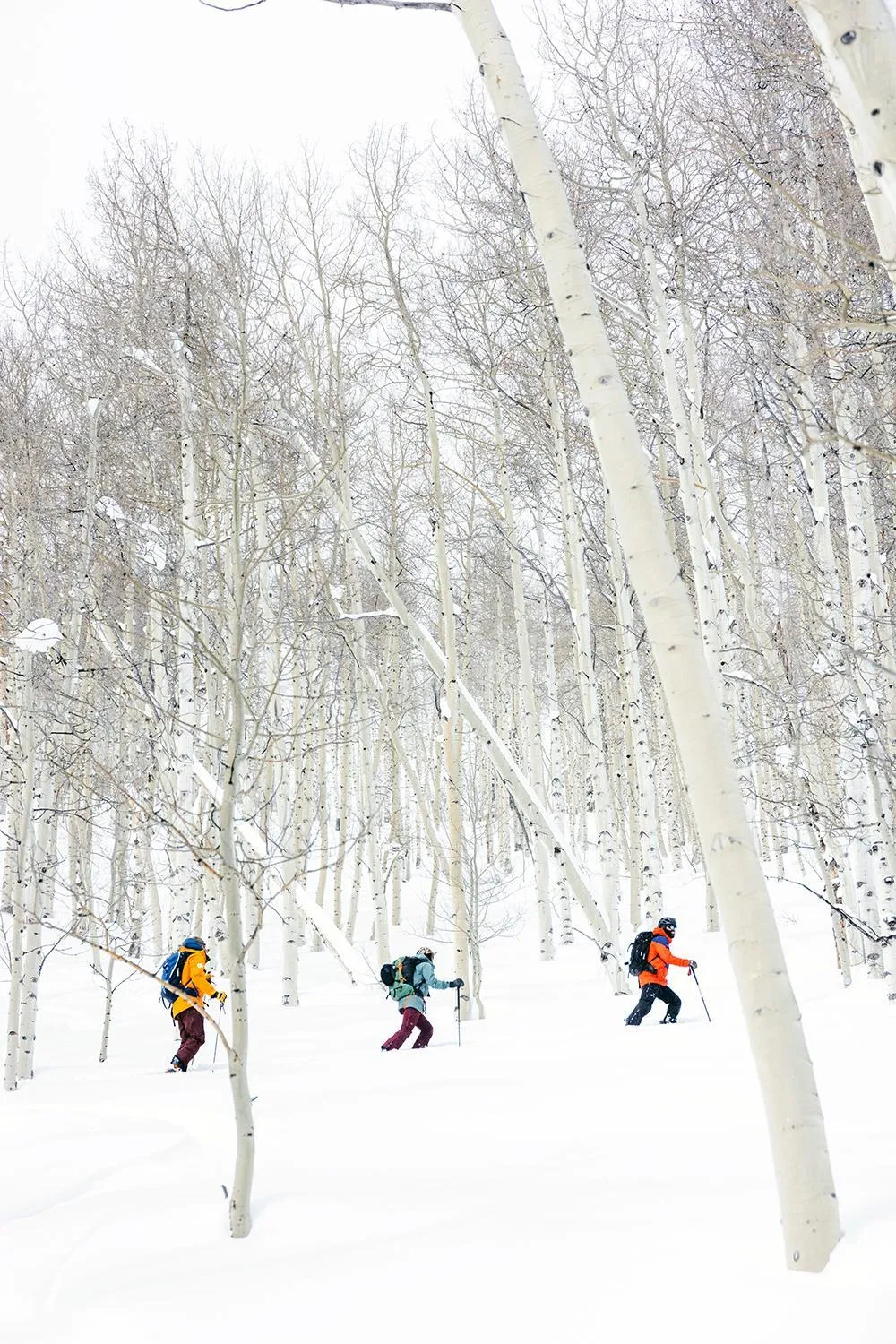 Skiing in Wingate by Wyndham New Castle - Glenwood Springs