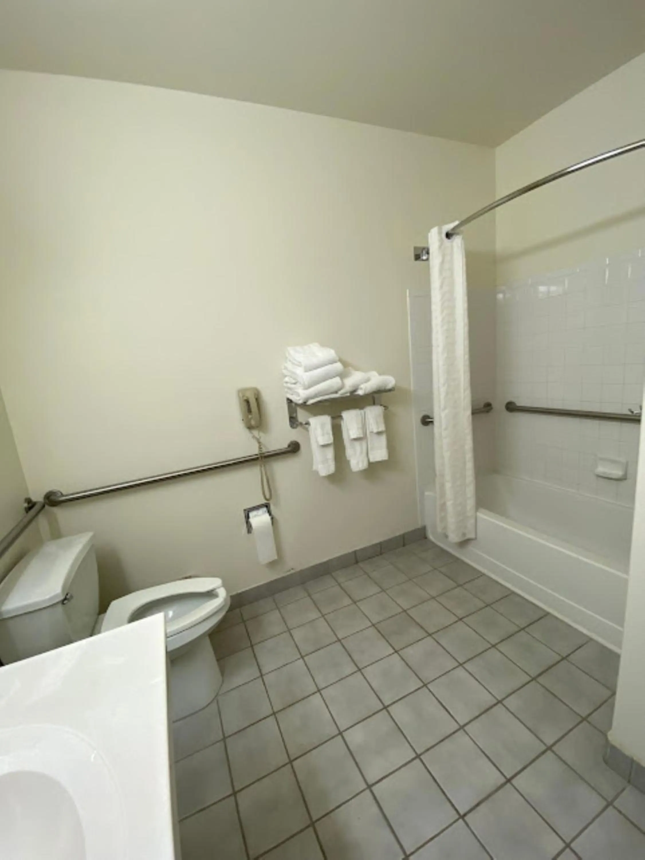 Bathroom in Wingate by Wyndham New Castle - Glenwood Springs