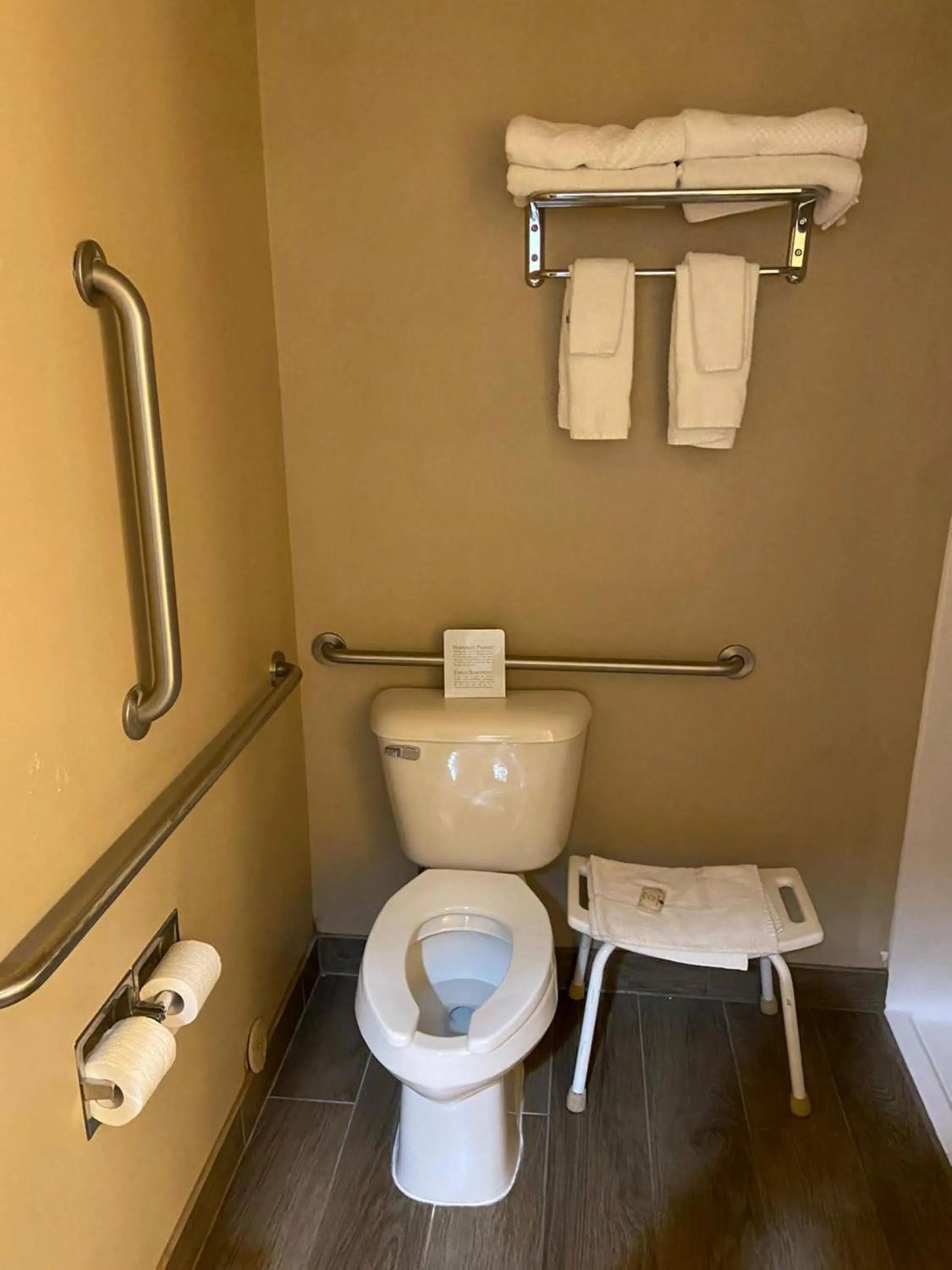 Toilet in Wingate by Wyndham New Castle - Glenwood Springs