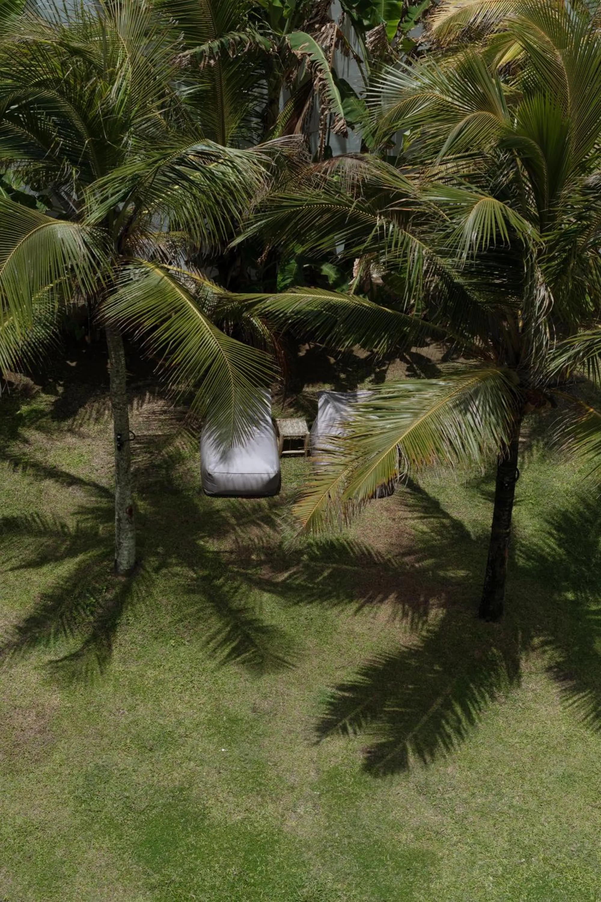 Garden in Harding Boutique Hotel