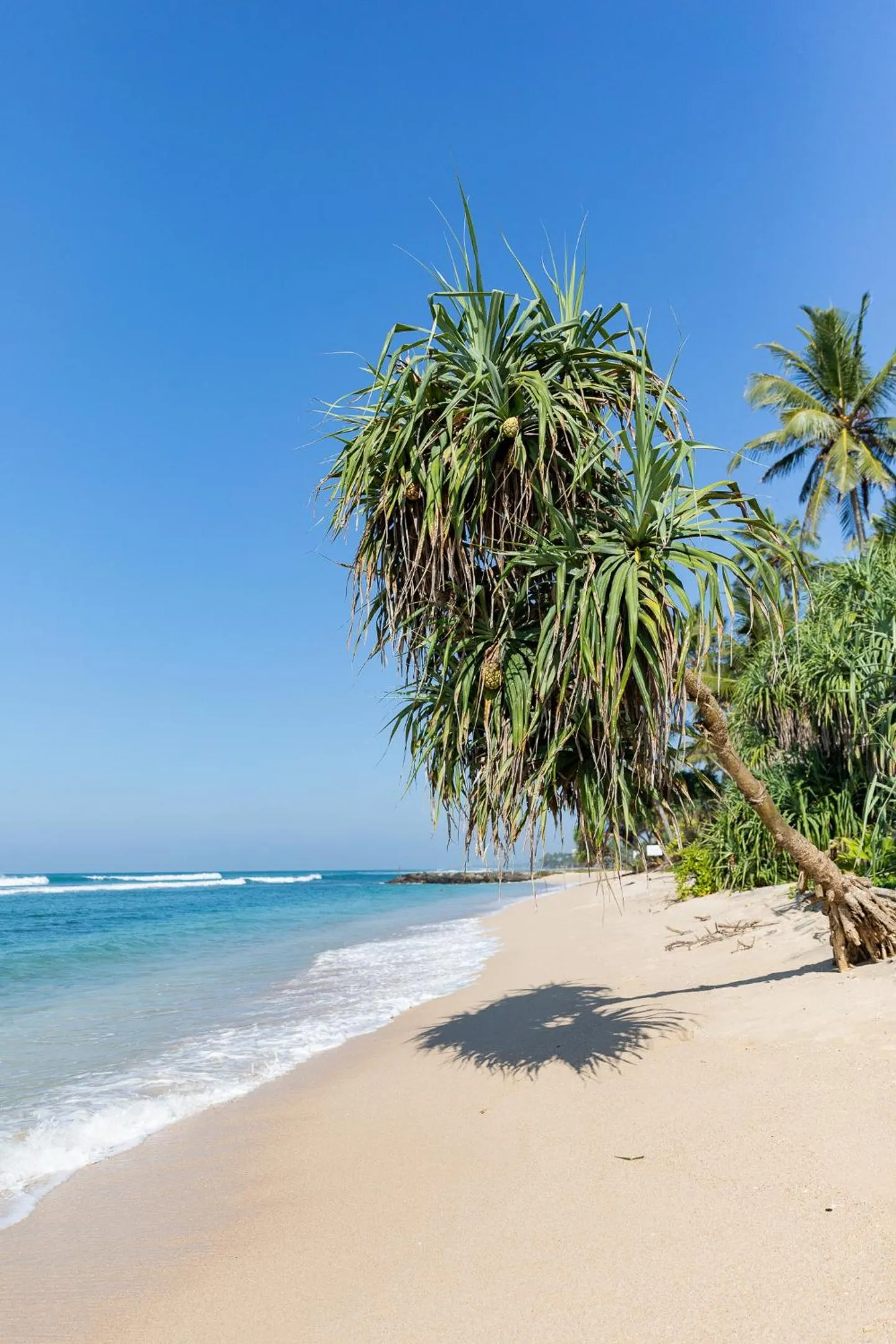 Beach in Harding Boutique Hotel