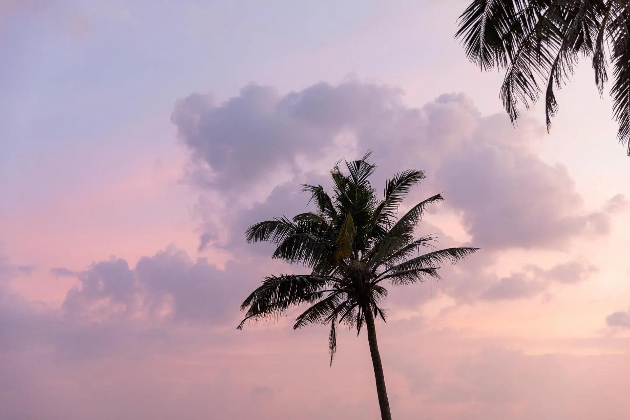 Sunset in Harding Boutique Hotel