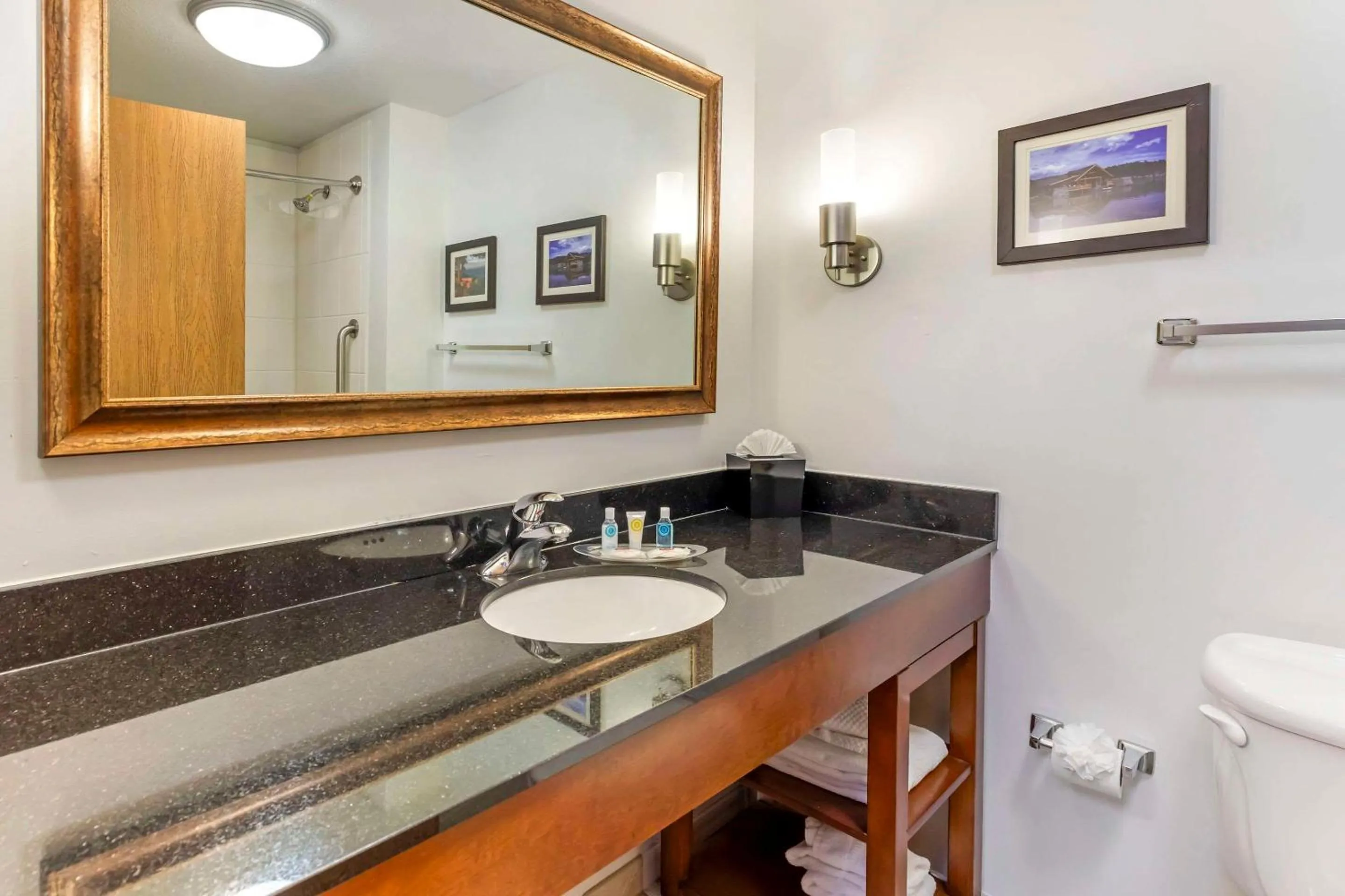 Bedroom in Comfort Suites Longmont