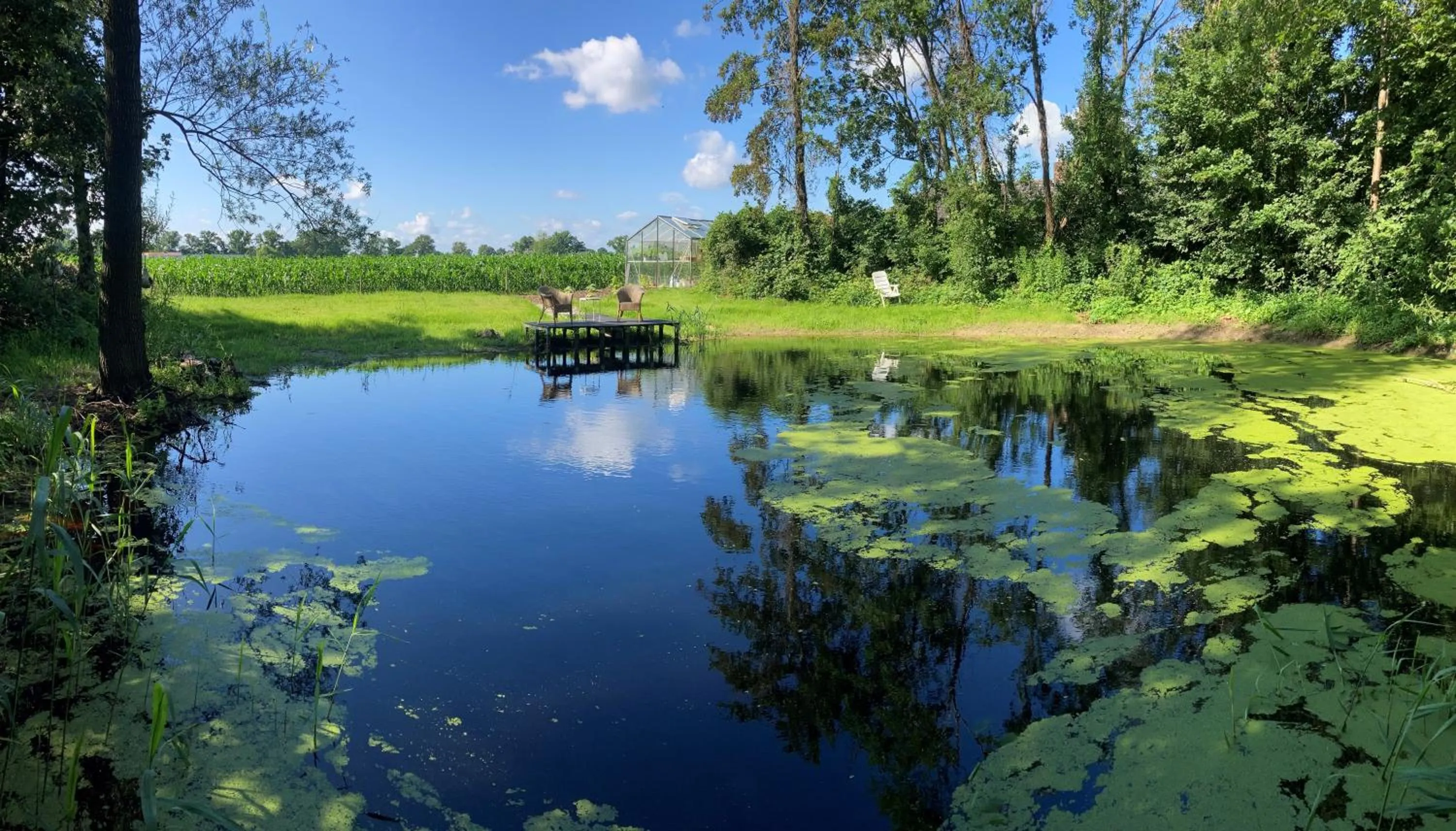 Natural landscape in BnB De Peelvos