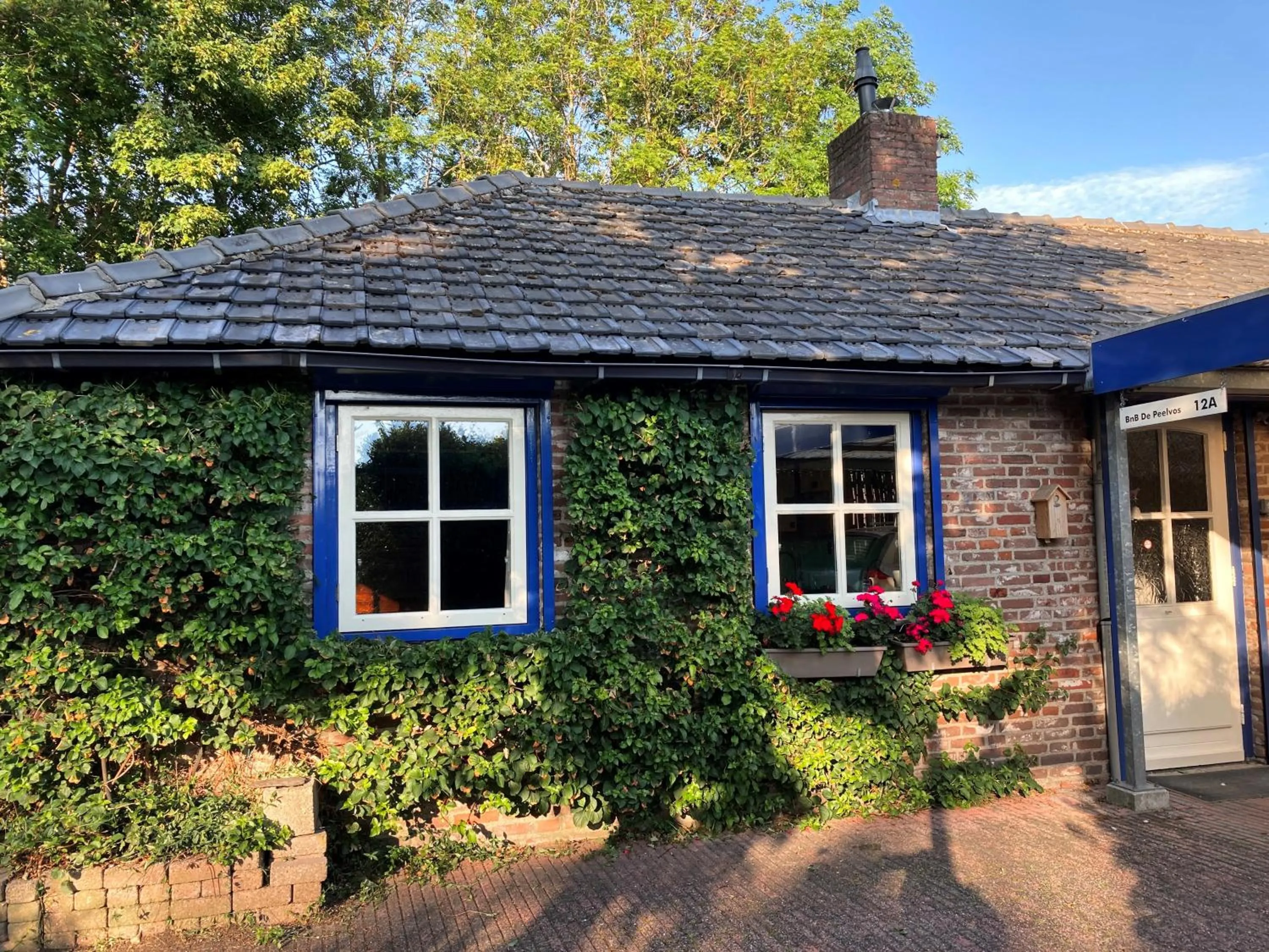 Property building in BnB De Peelvos