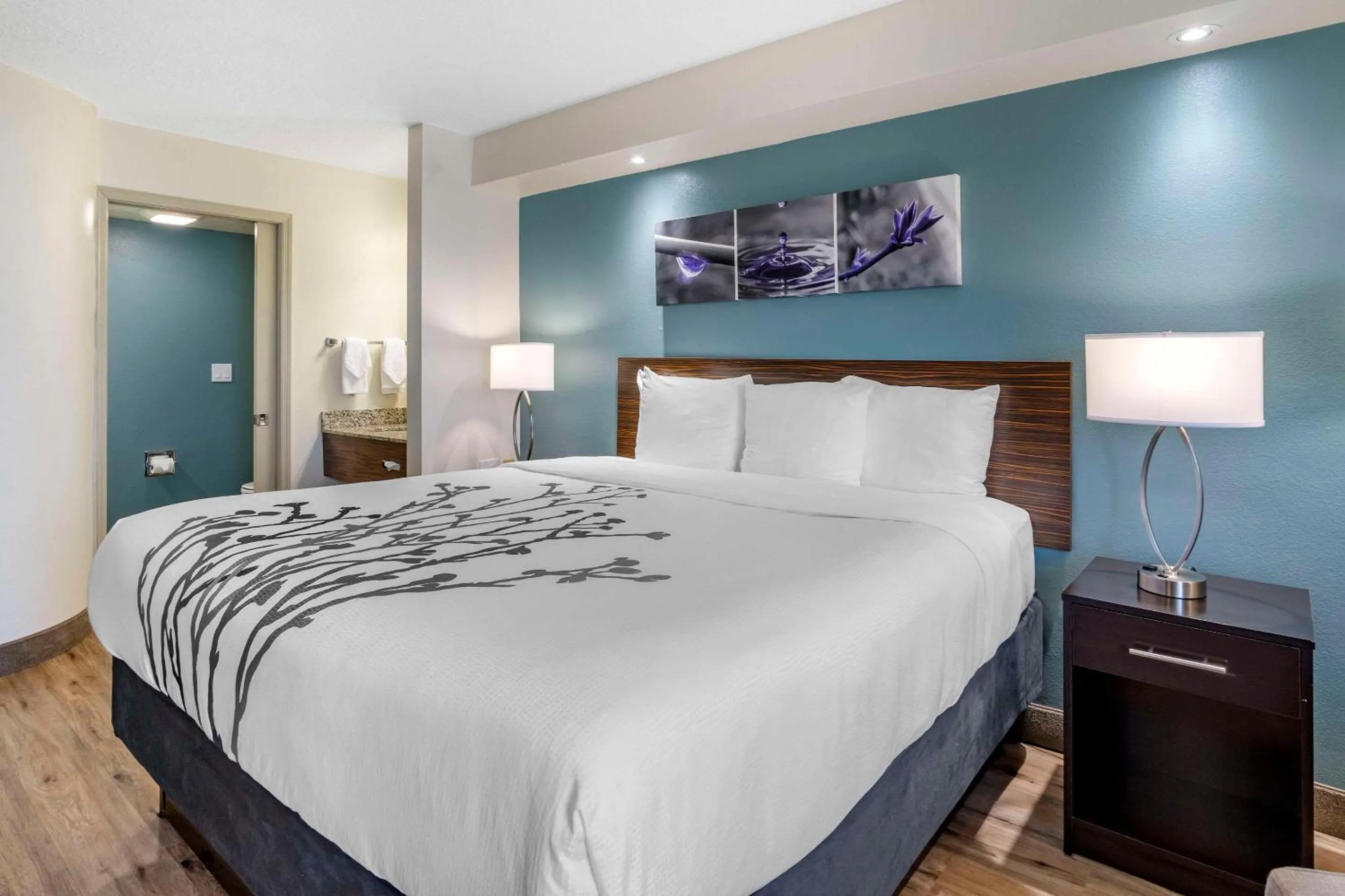 Bedroom, Bed in Sleep Inn Clearwater-St Petersburg