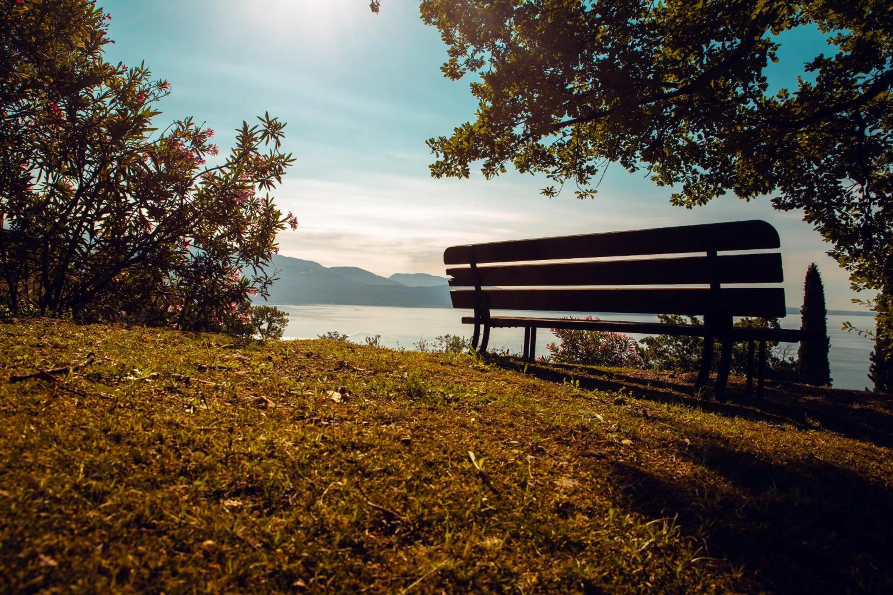 Natural landscape in Domina Borgo degli Ulivi - Garda Lake