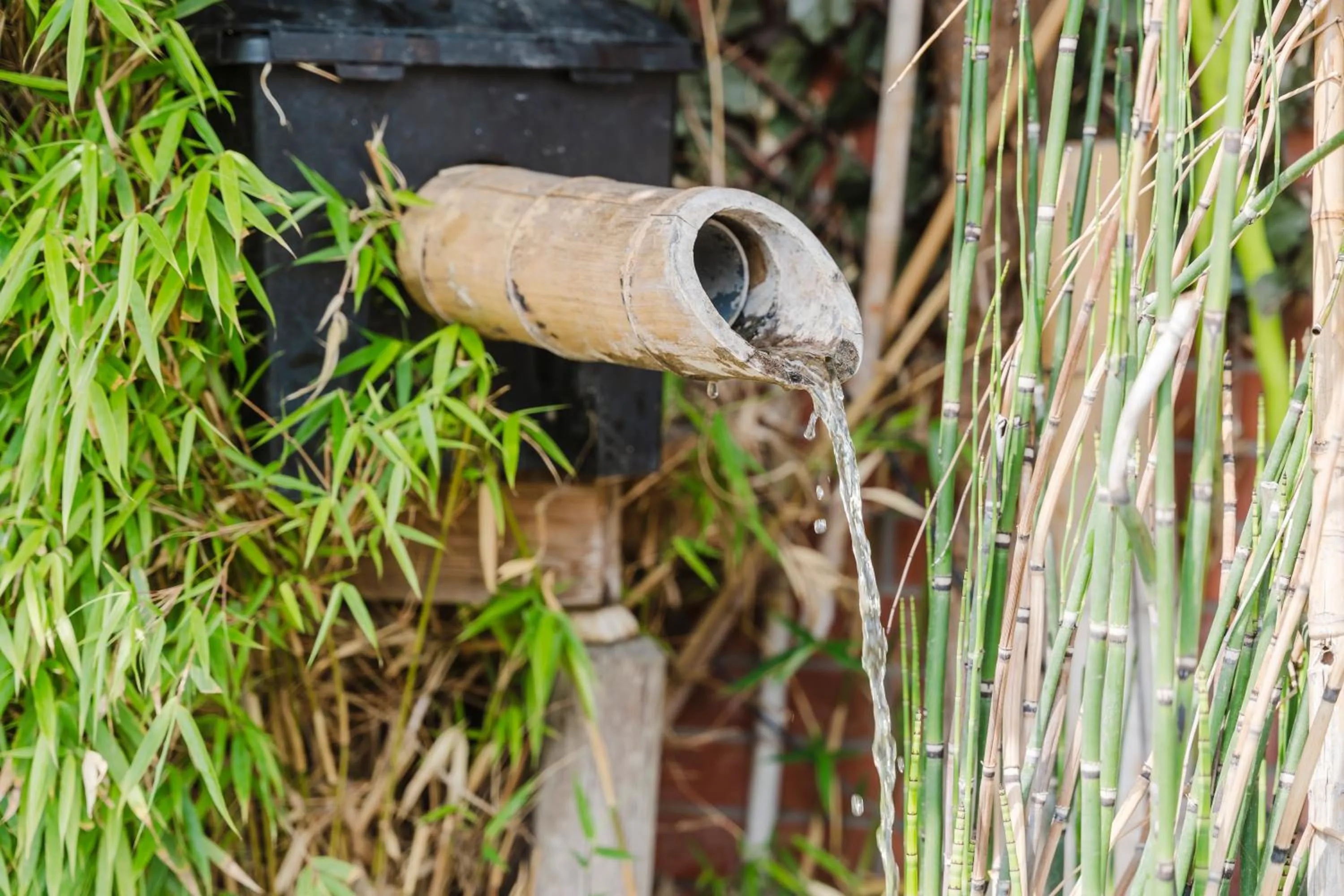 Garden view in Cap Hôtel