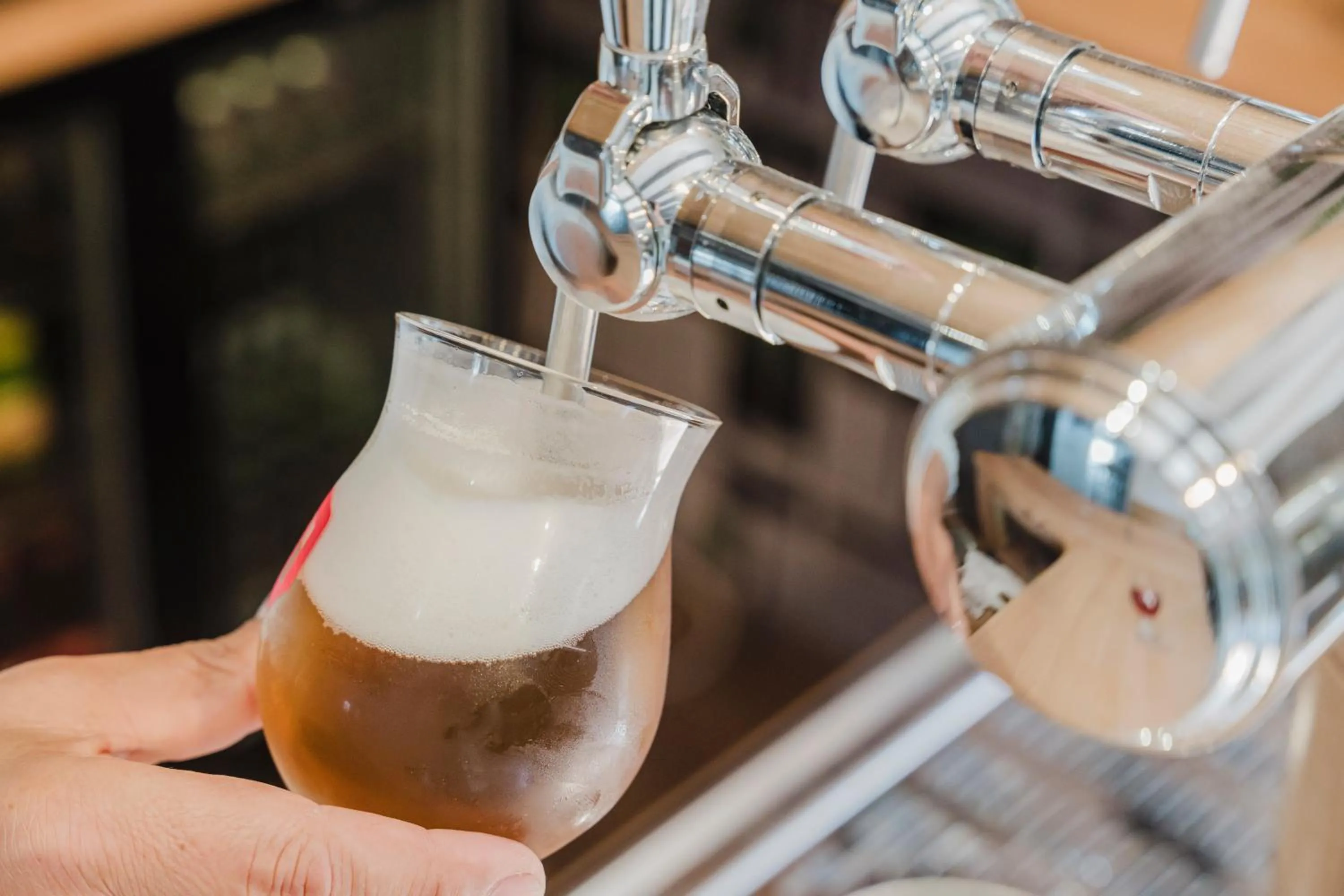 Lounge or bar in Cap Hôtel