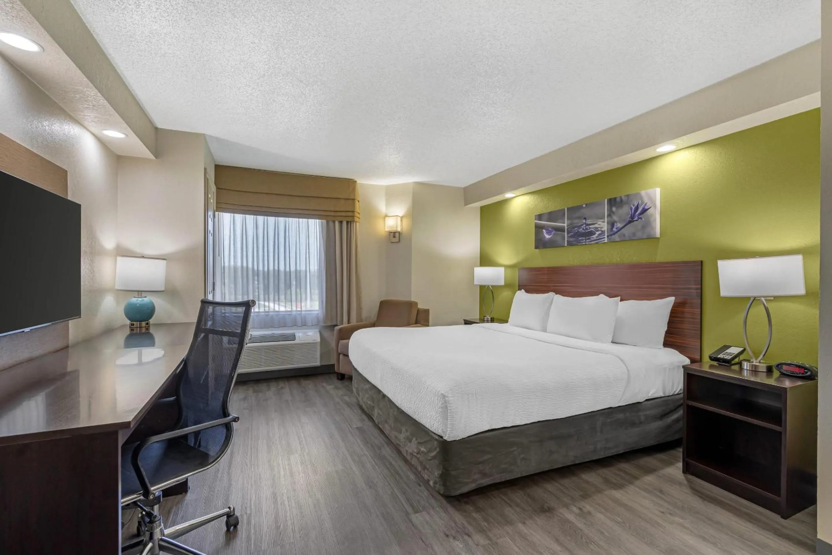 Bedroom, Bed in Sleep Inn near Busch Gardens - USF