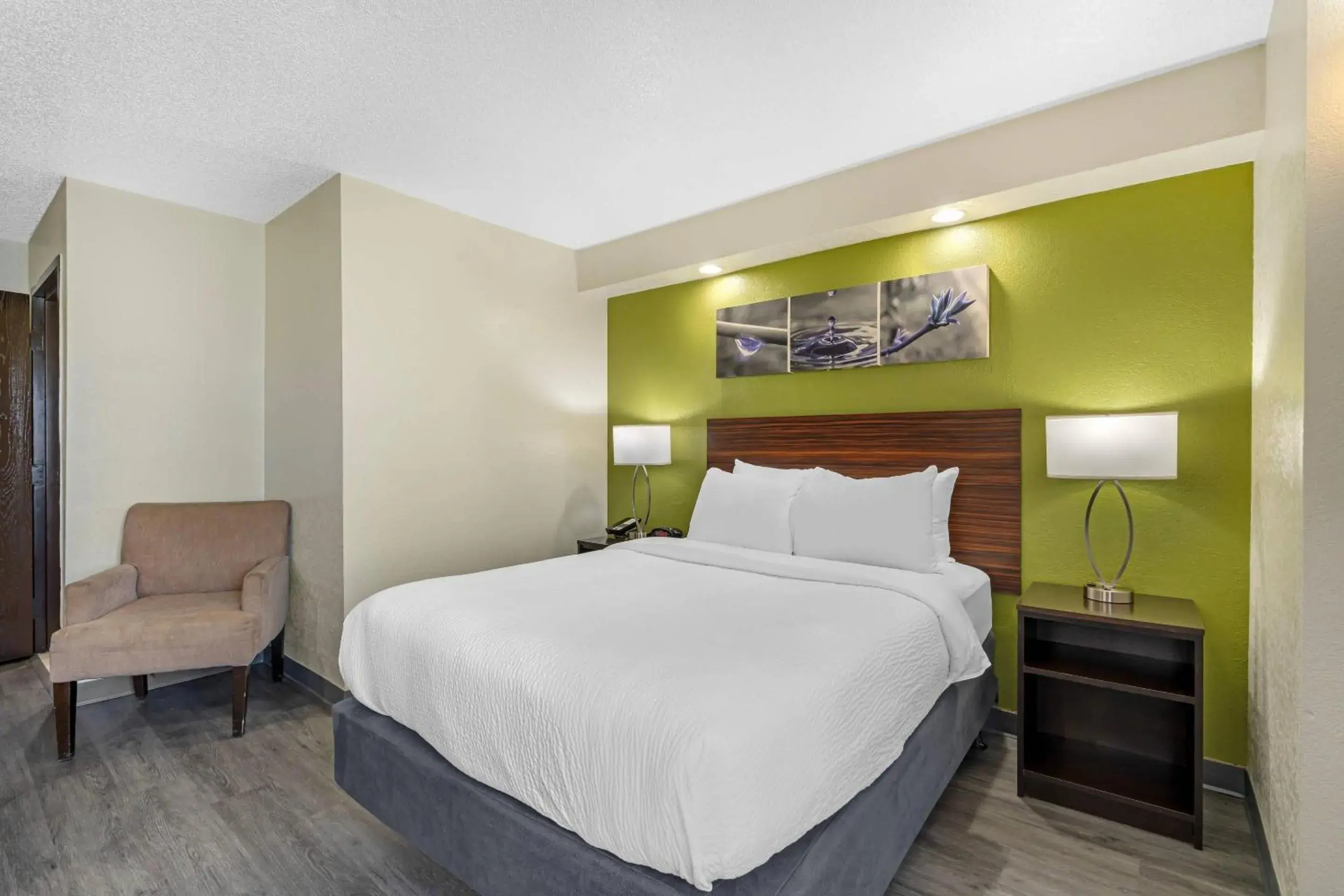 Double Room - Accessible/Non-Smoking in Sleep Inn near Busch Gardens - USF Double Room - Accessible/Non-Smoking in Sleep Inn near Busch Gardens - USF