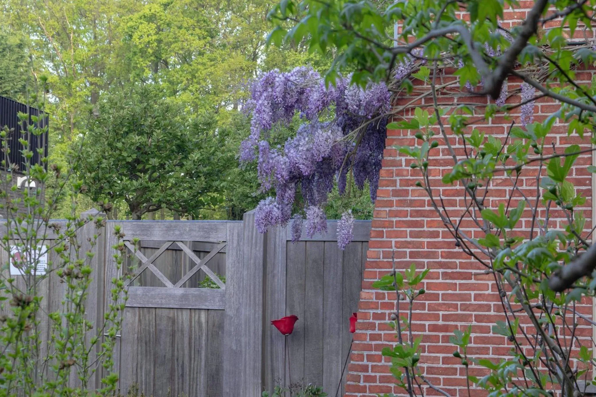Facade/entrance in Beeltjens B&B: Wolf&Belle