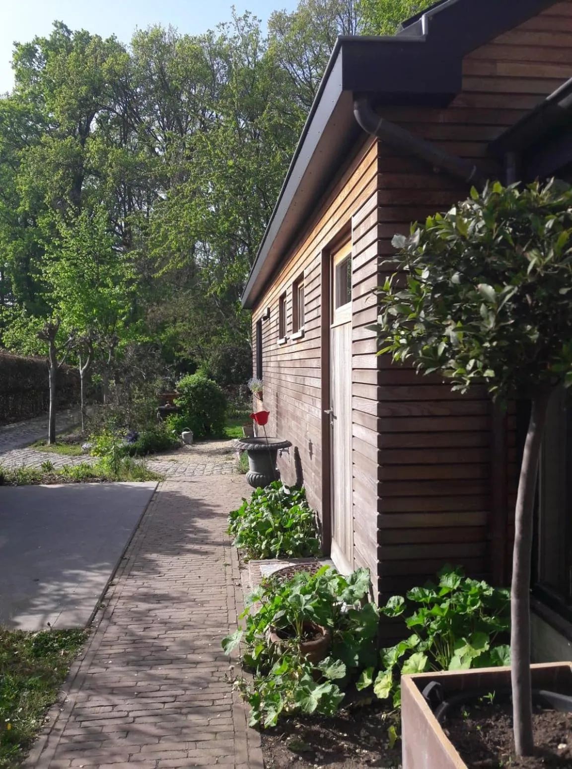 Property building in Beeltjens B&B: Wolf&Belle