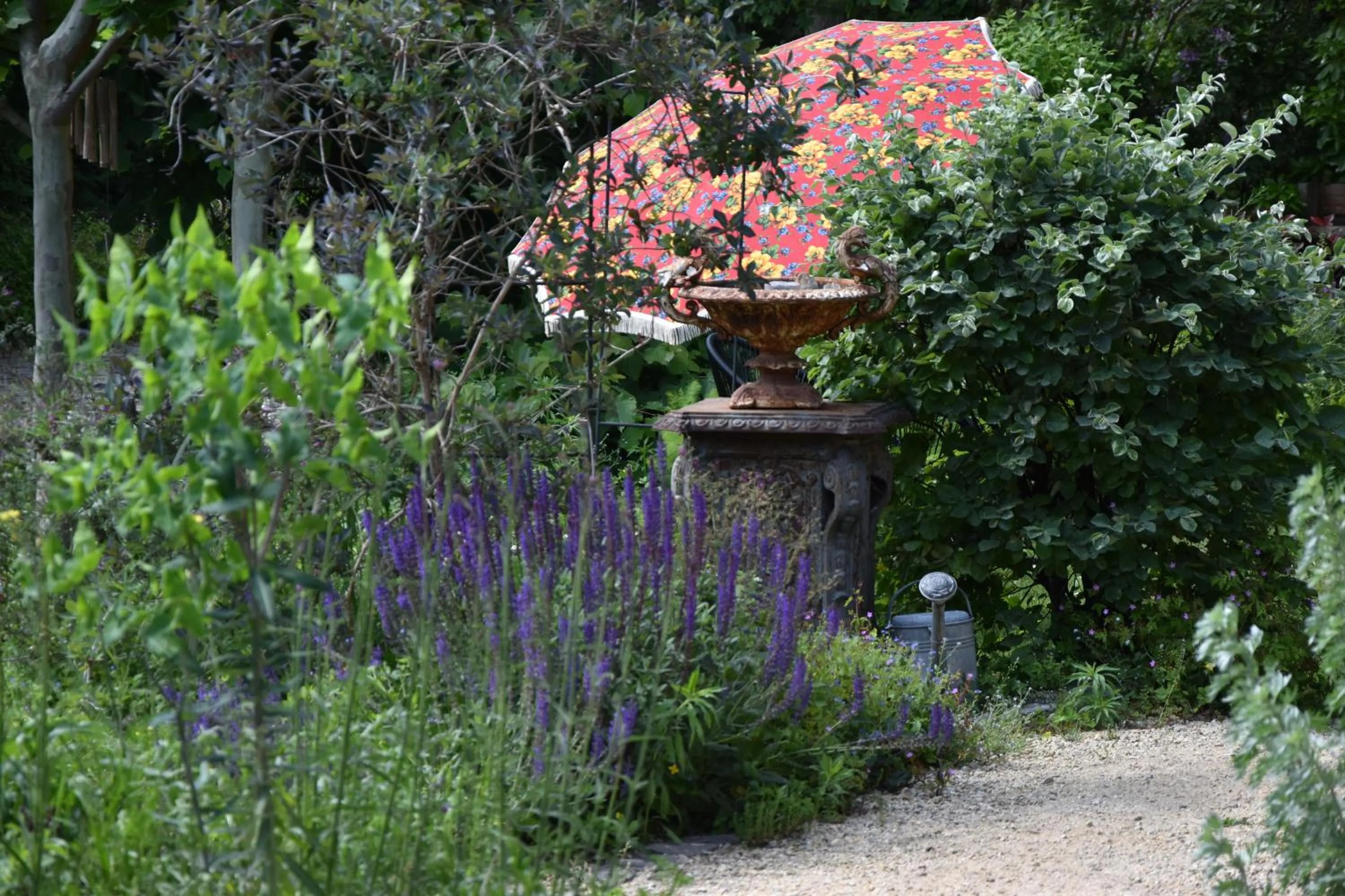 Beeltjens B&B: Wolf&Belle