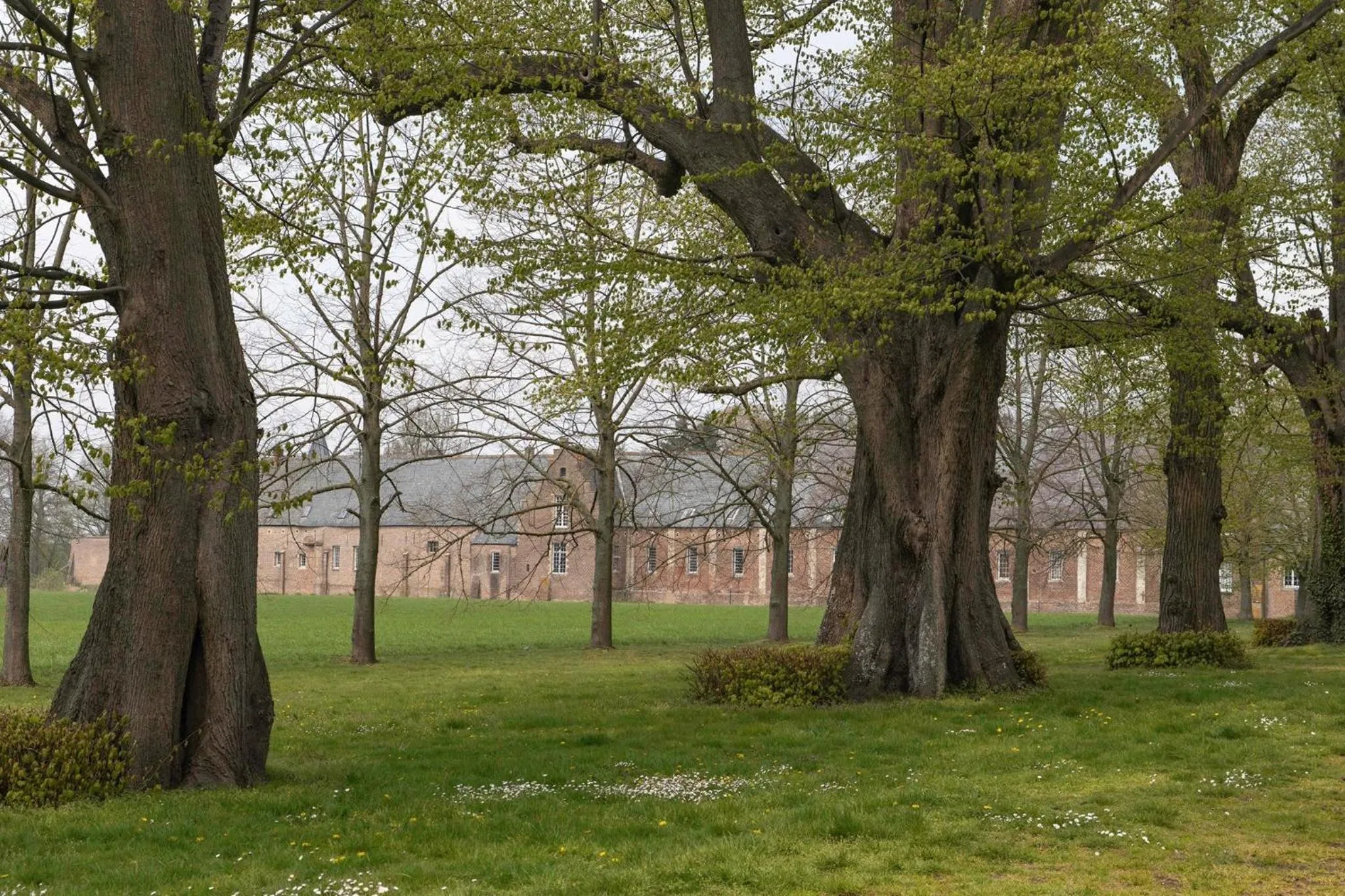 Nearby landmark in Beeltjens B&B: Wolf&Belle