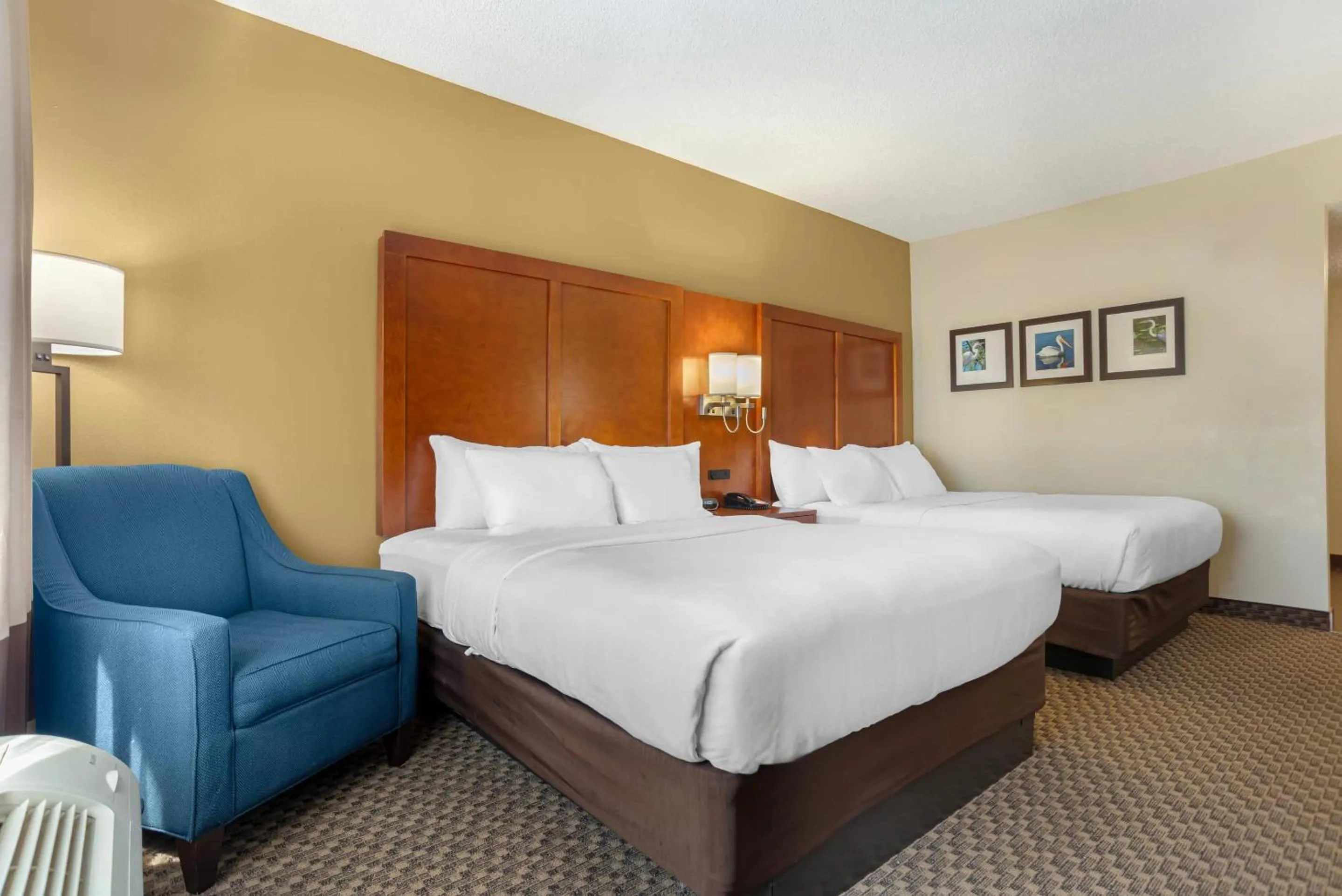 Bedroom, Bed in Comfort Suites Tallahassee Capitol - University Area