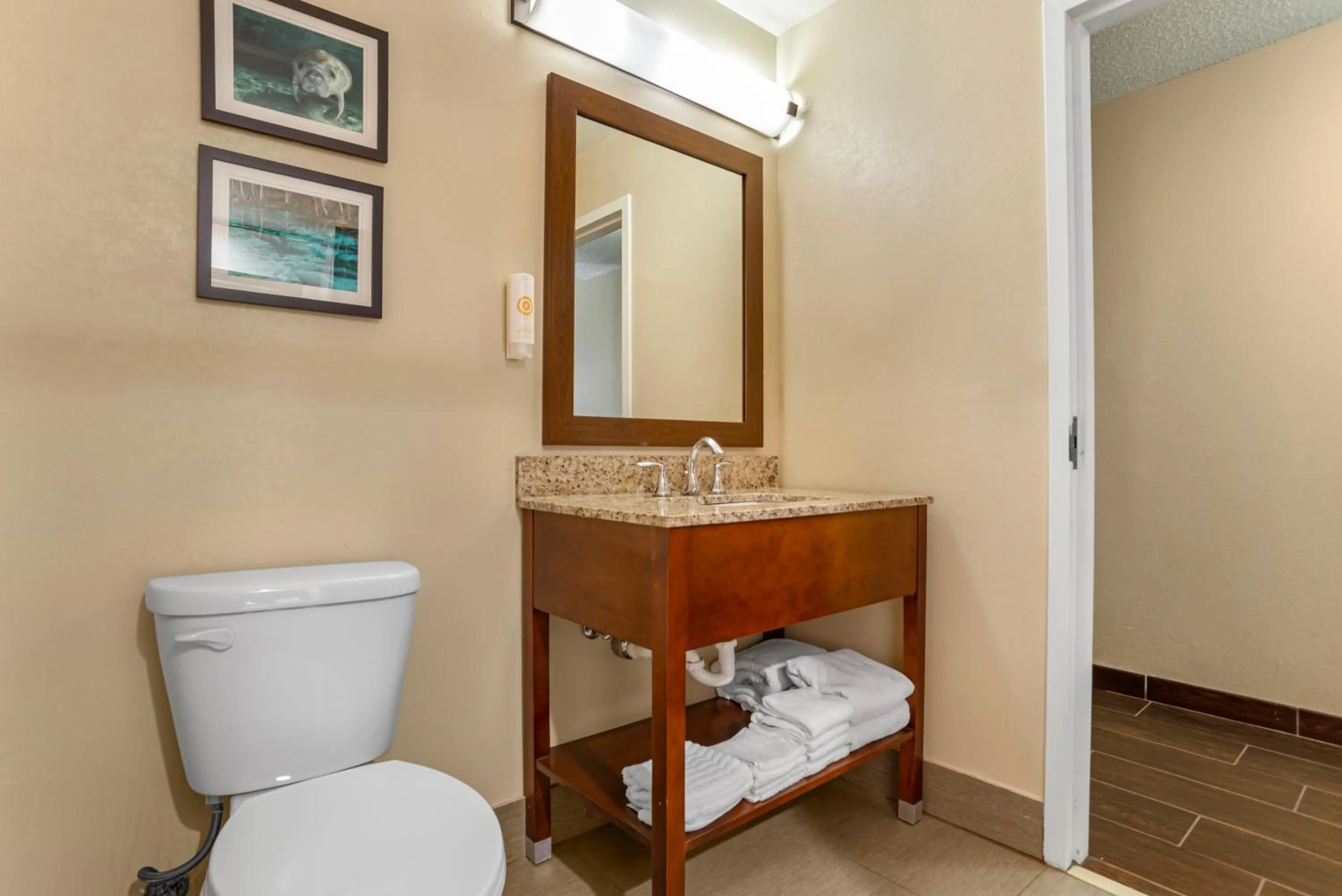 Comfort Suites Tallahassee Capitol - University Area