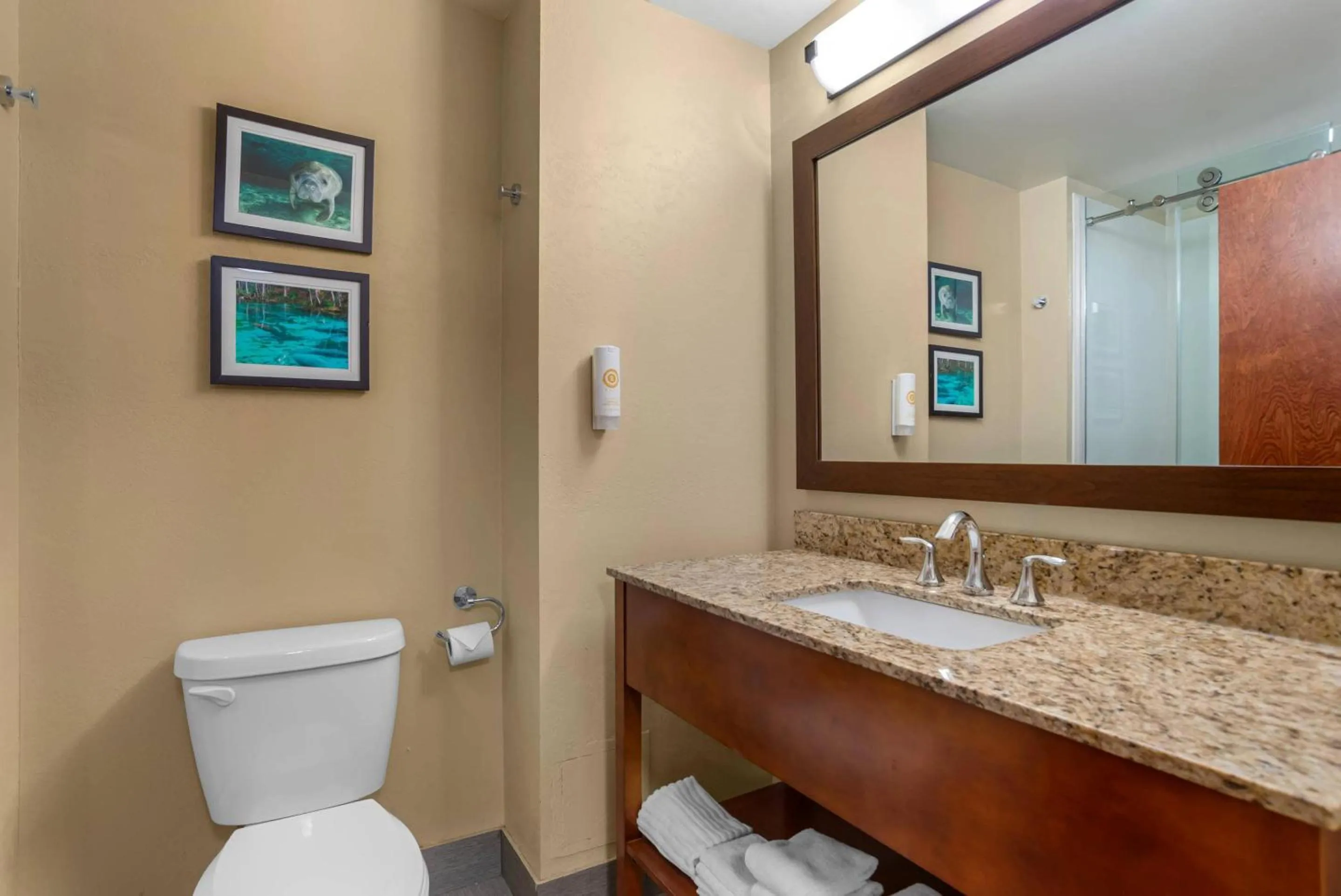 Bedroom in Comfort Suites Tallahassee Capitol - University Area