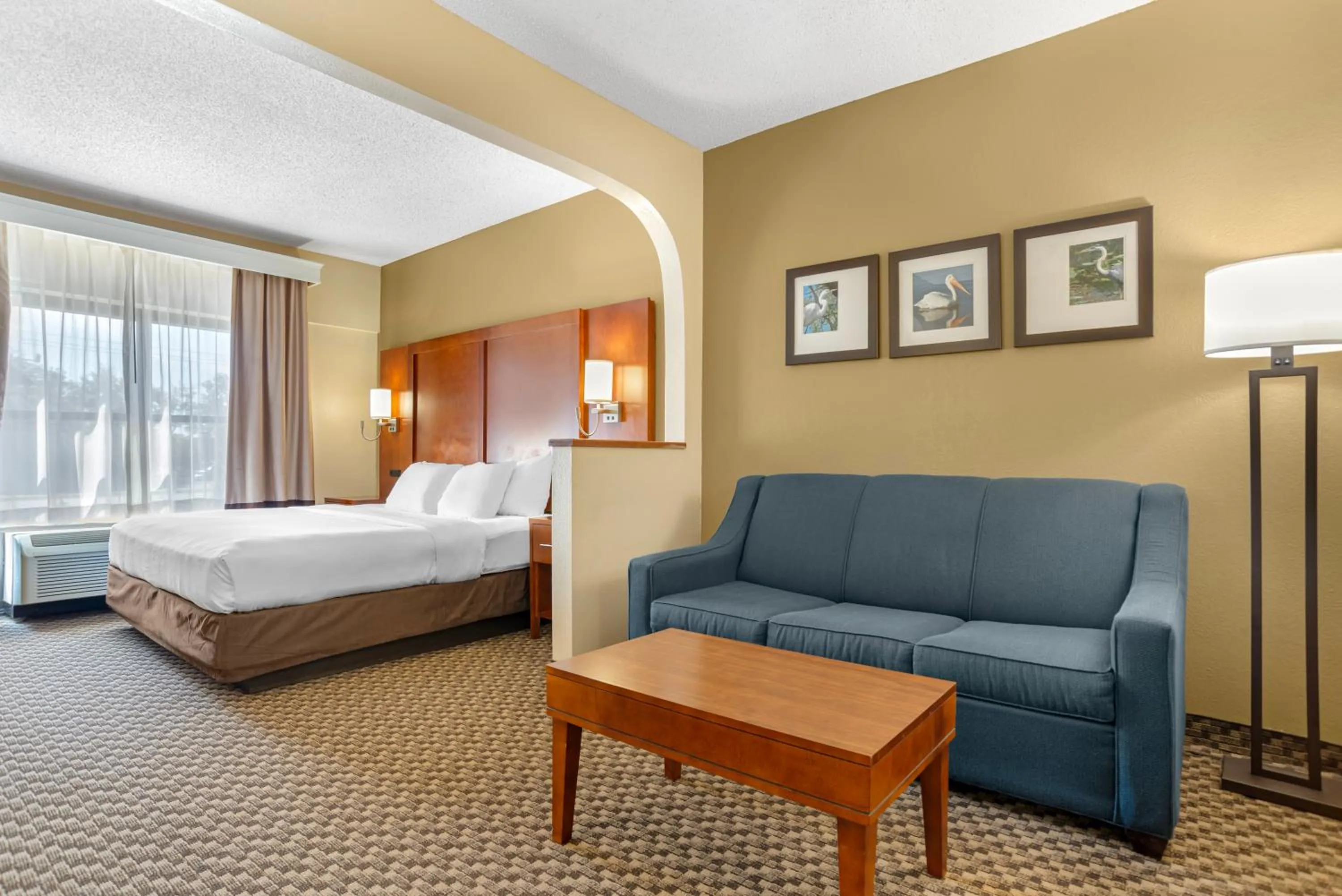 Bed in Comfort Suites Tallahassee Capitol - University Area