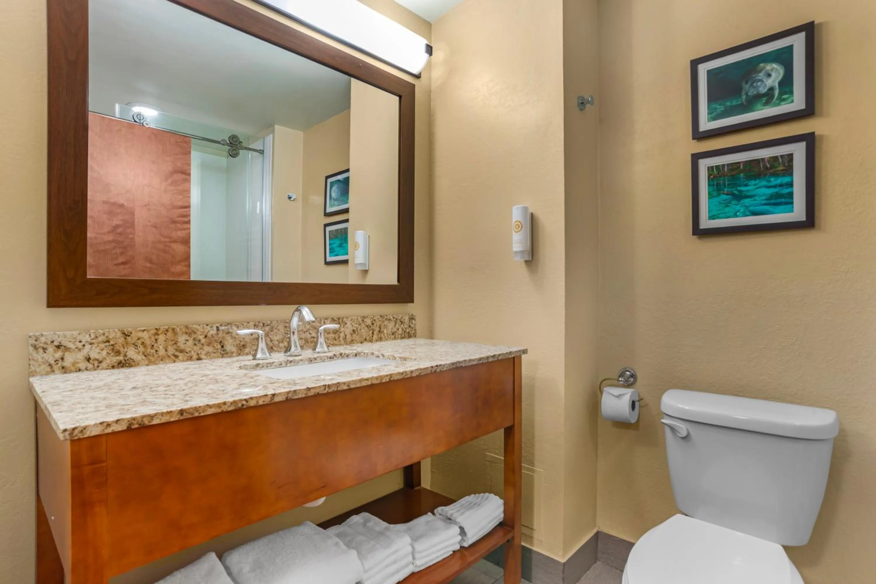 Comfort Suites Tallahassee Capitol - University Area