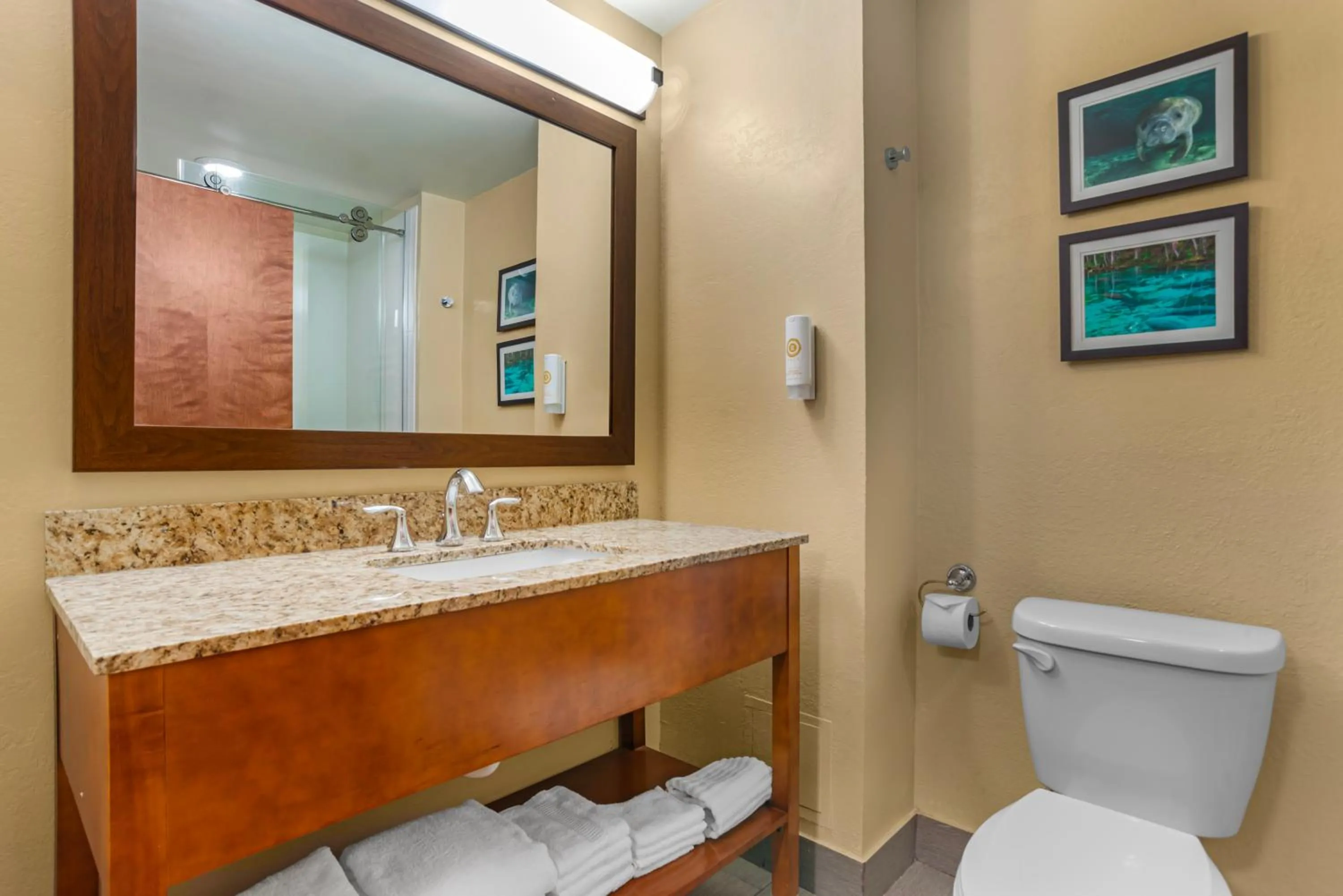 Comfort Suites Tallahassee Capitol - University Area