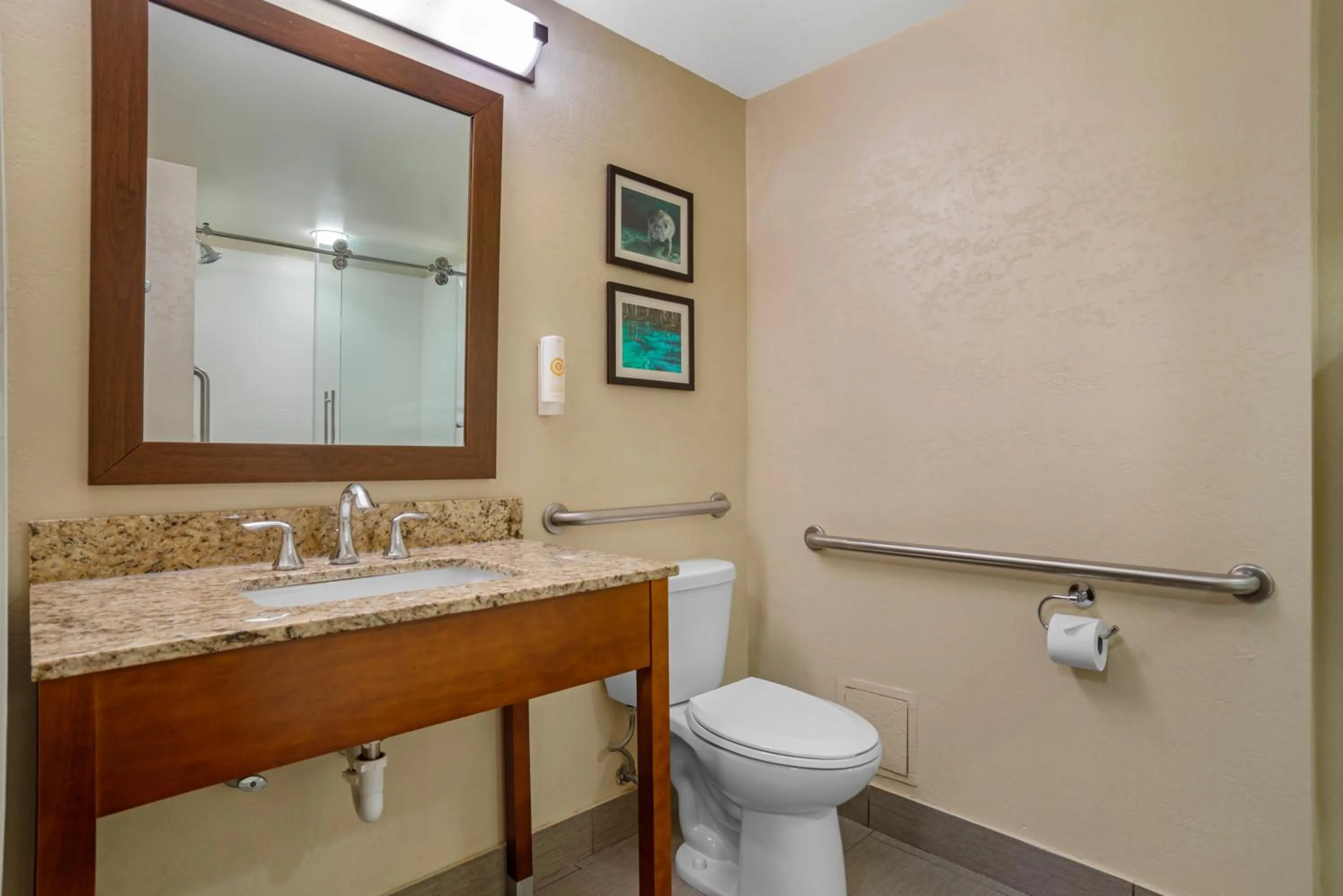 Bathroom in Comfort Suites Tallahassee Capitol - University Area