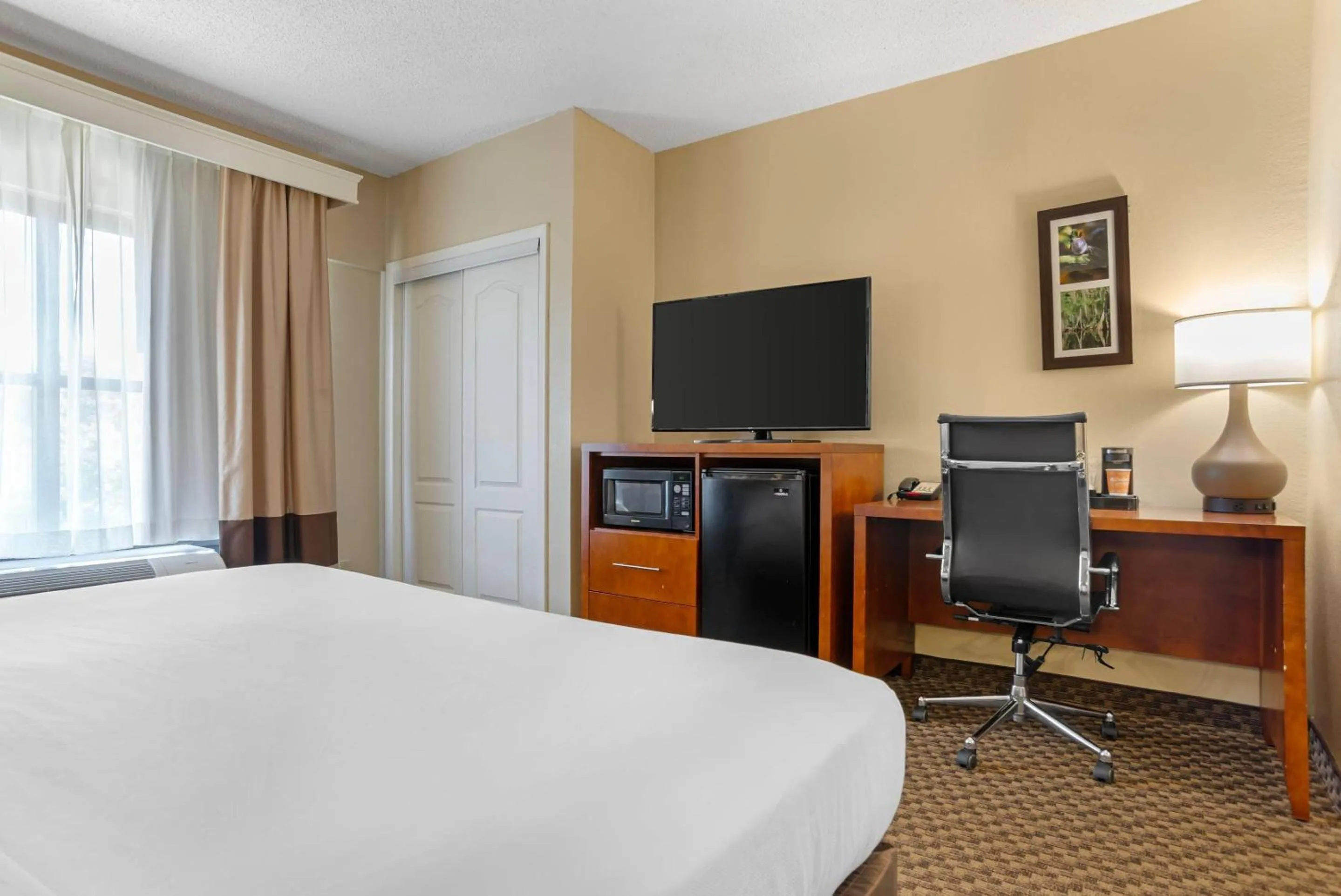 Bedroom, Bed in Comfort Suites Tallahassee Capitol - University Area