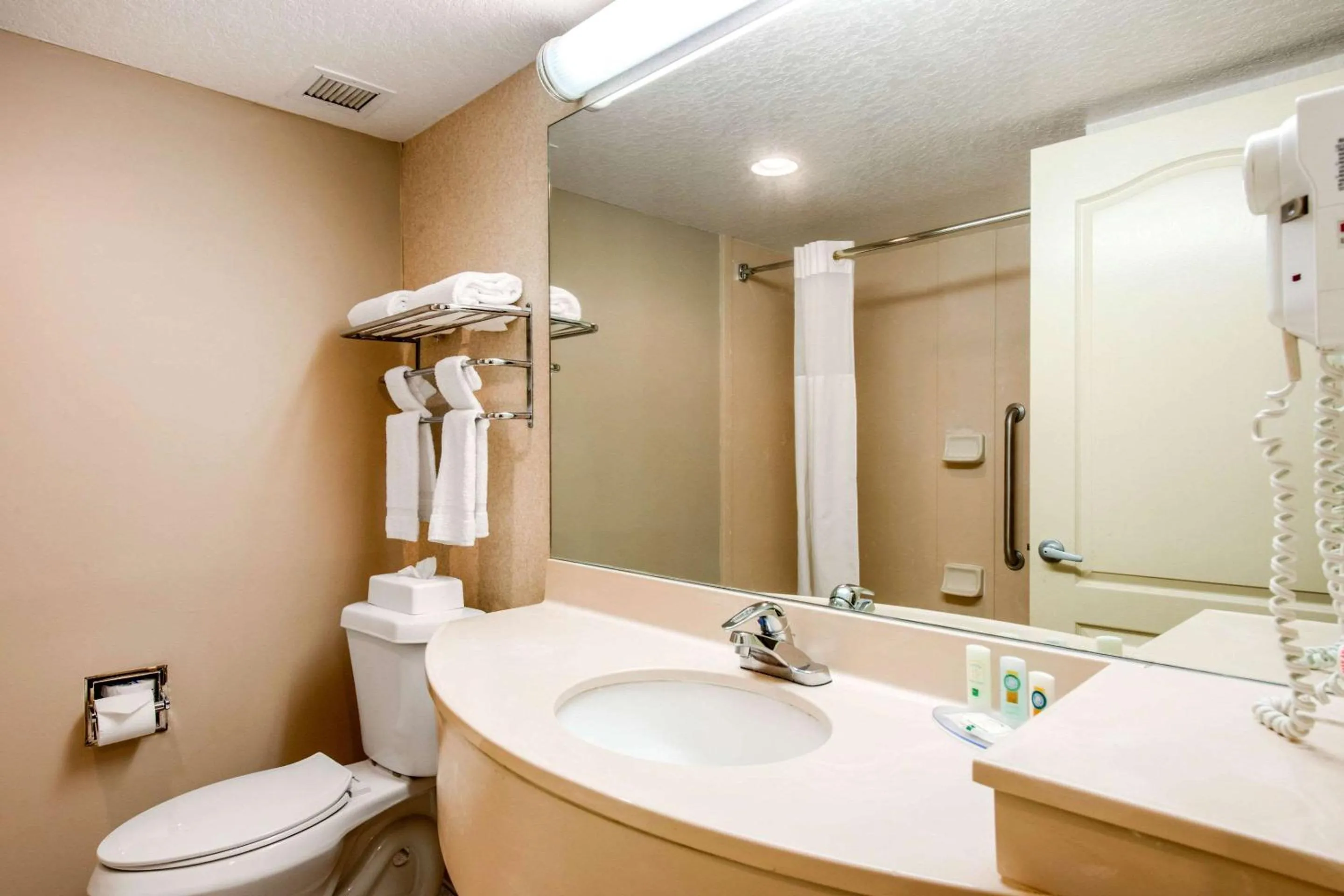 Bedroom in Quality Inn & Suites Tarpon Springs South