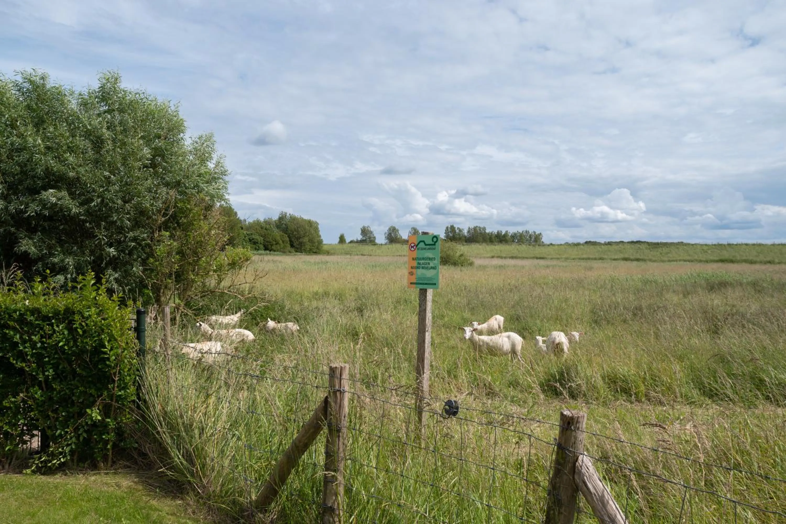 Natural landscape in Raadhuis Parc Ganuenta