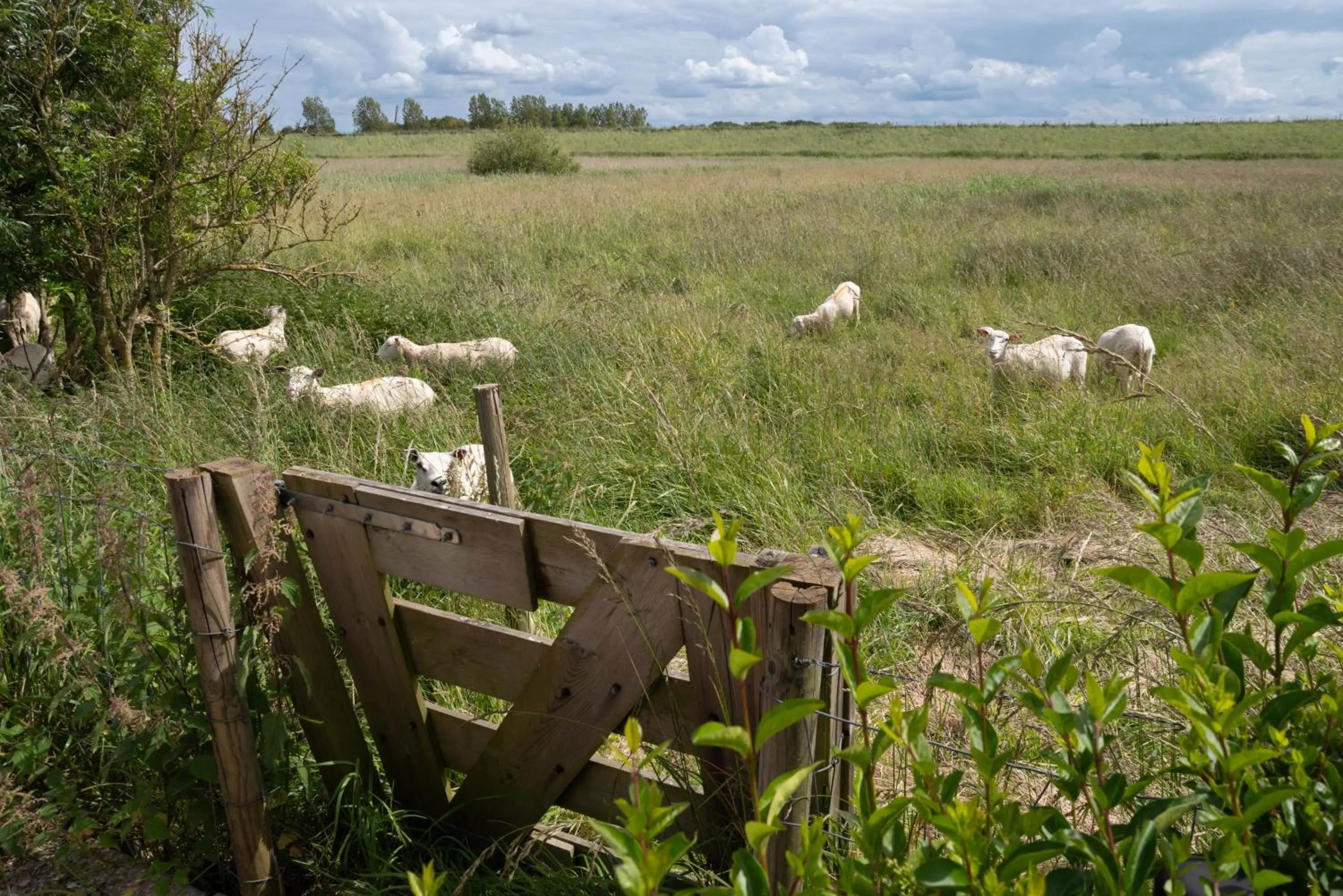 Natural landscape in Raadhuis Parc Ganuenta
