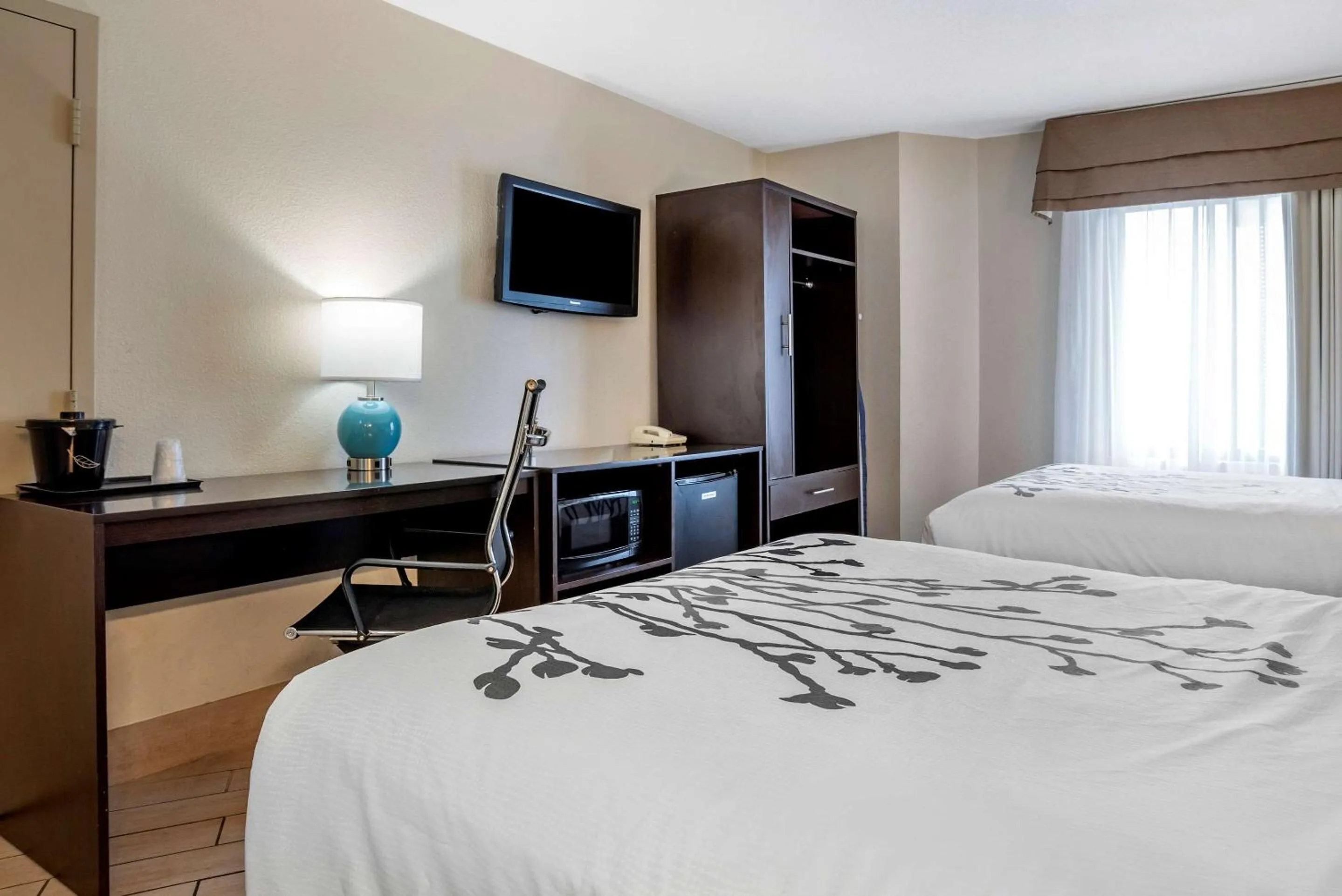 Photo of the whole room in Sleep Inn Destin near Miramar Beach