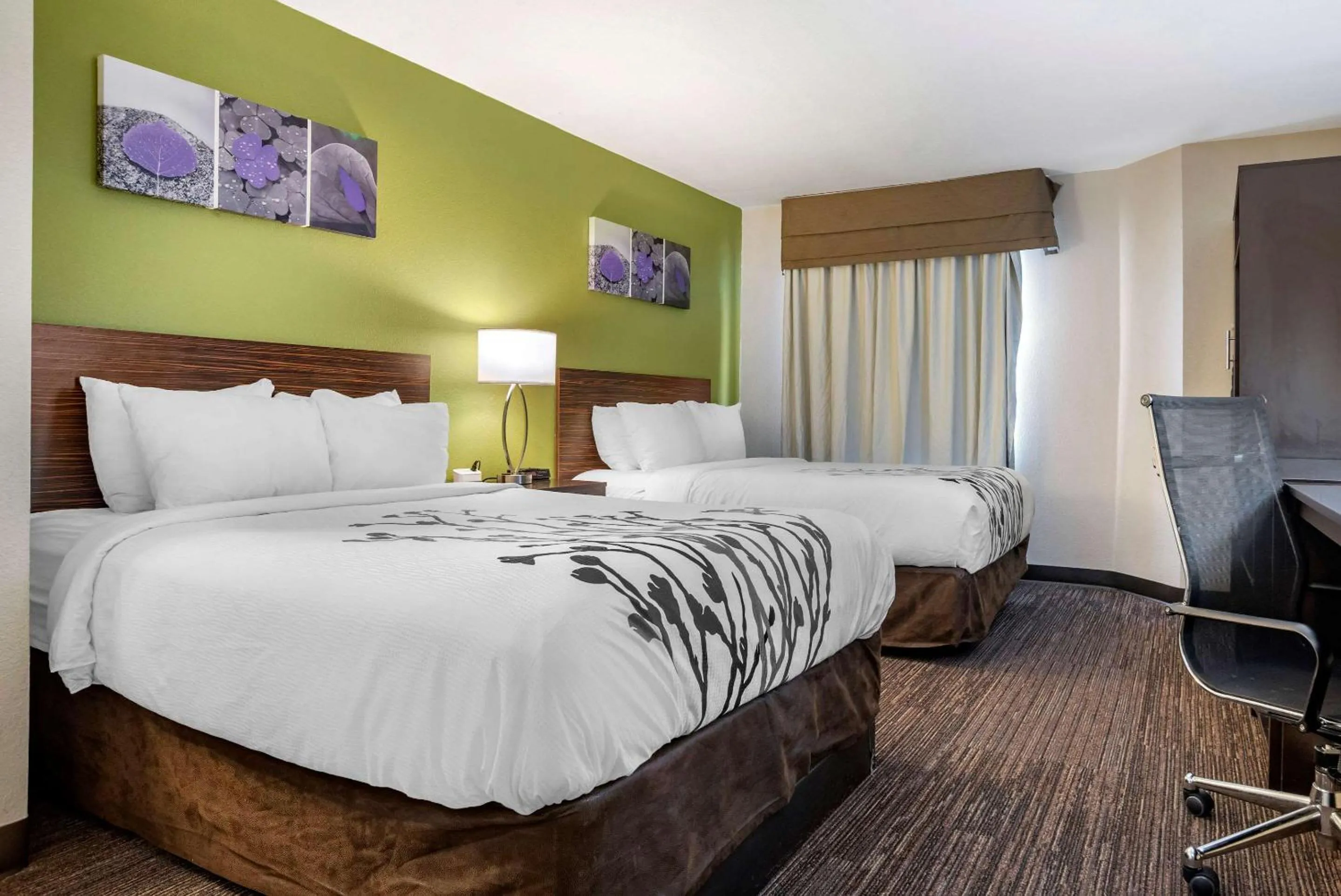 Photo of the whole room in Sleep Inn Destin near Miramar Beach